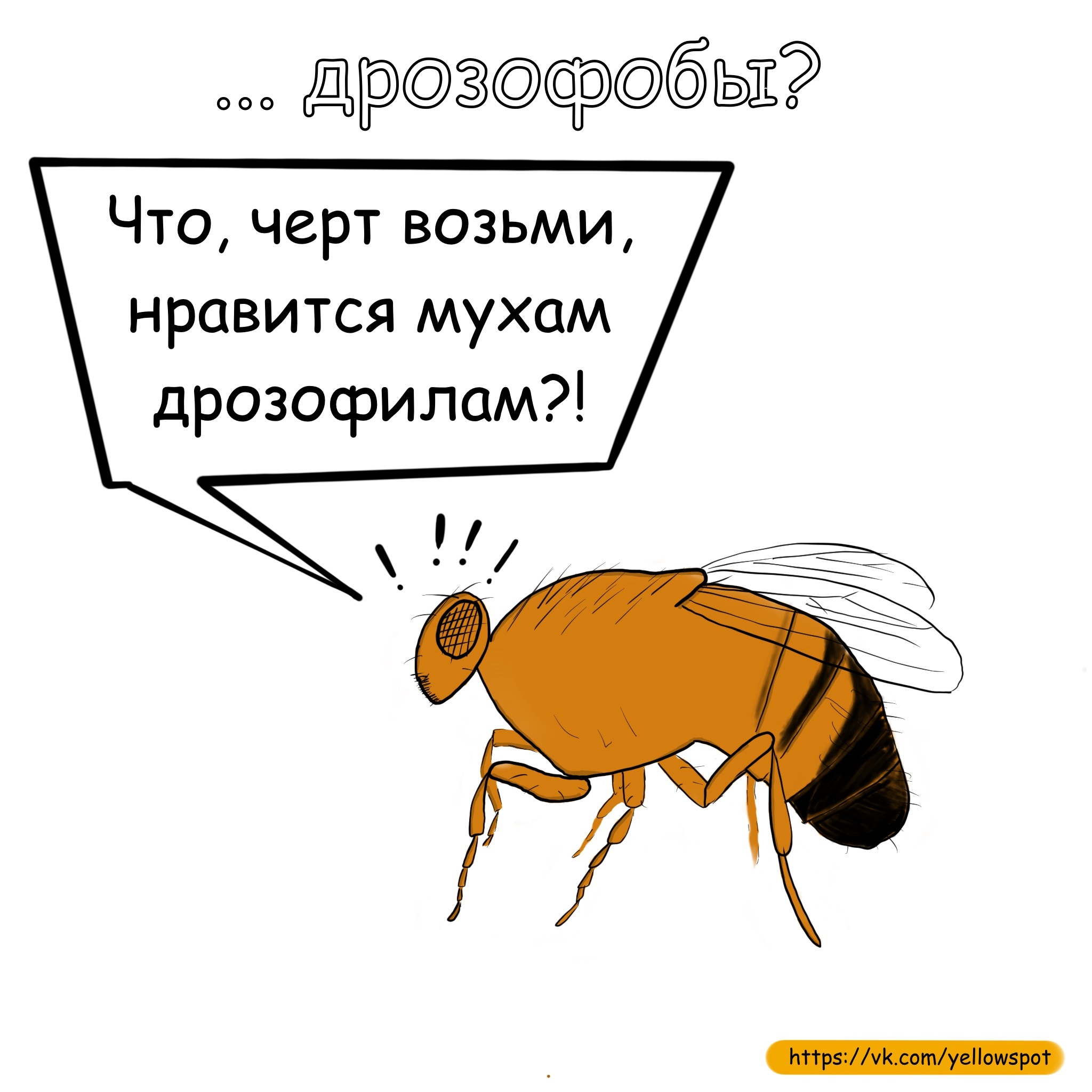 Осторожно мухи. Комиксы Муха. Муха юмор. Загадка про муху. Загадка о мухе.