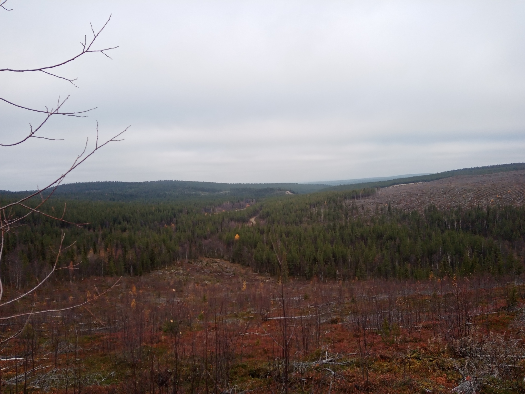 Hike and nature - My, wildlife, Nature, The nature of Russia, Autumn, Northern nature, Forest, The mountains, Longpost