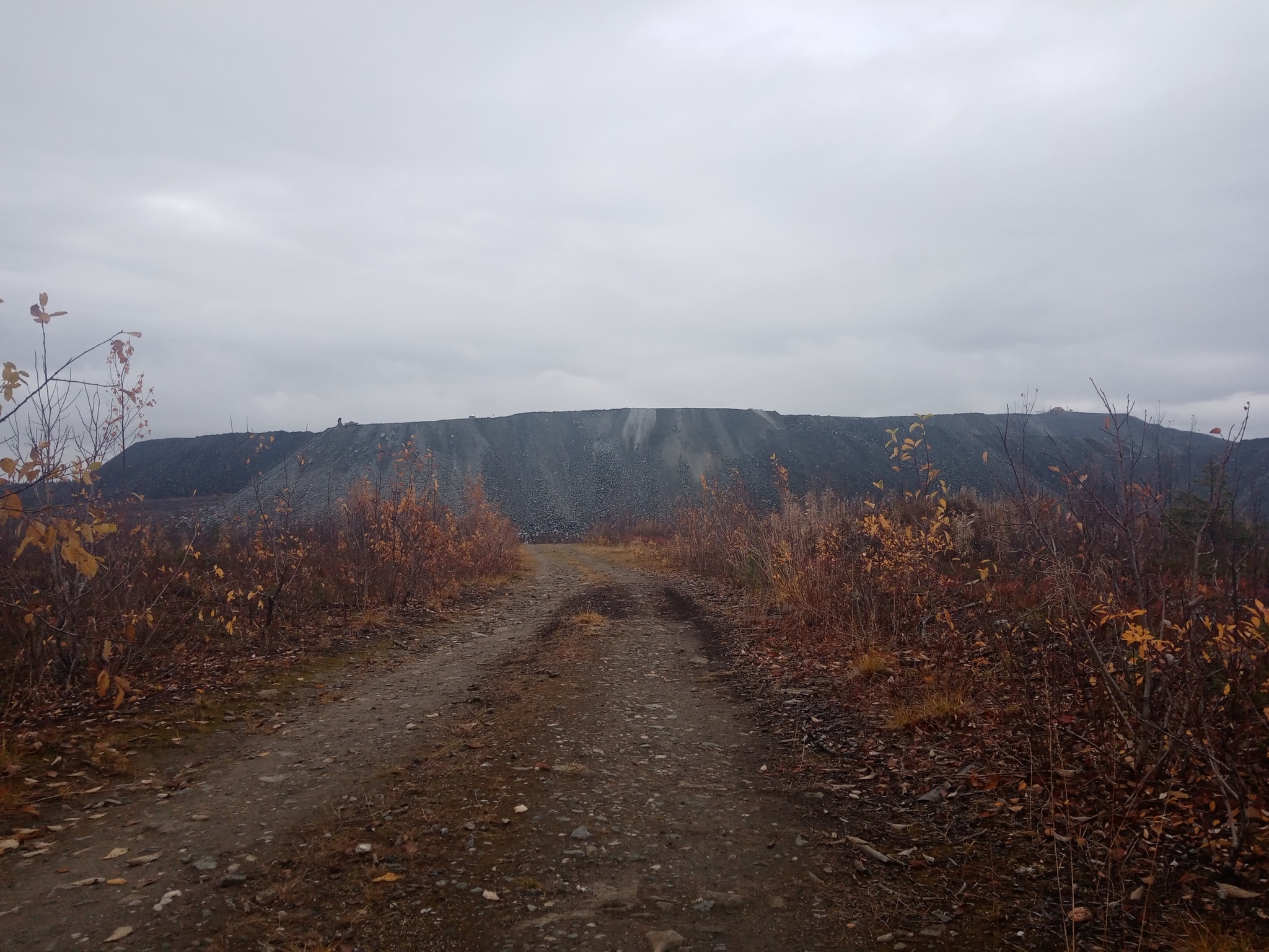 Hike and nature - My, wildlife, Nature, The nature of Russia, Autumn, Northern nature, Forest, The mountains, Longpost