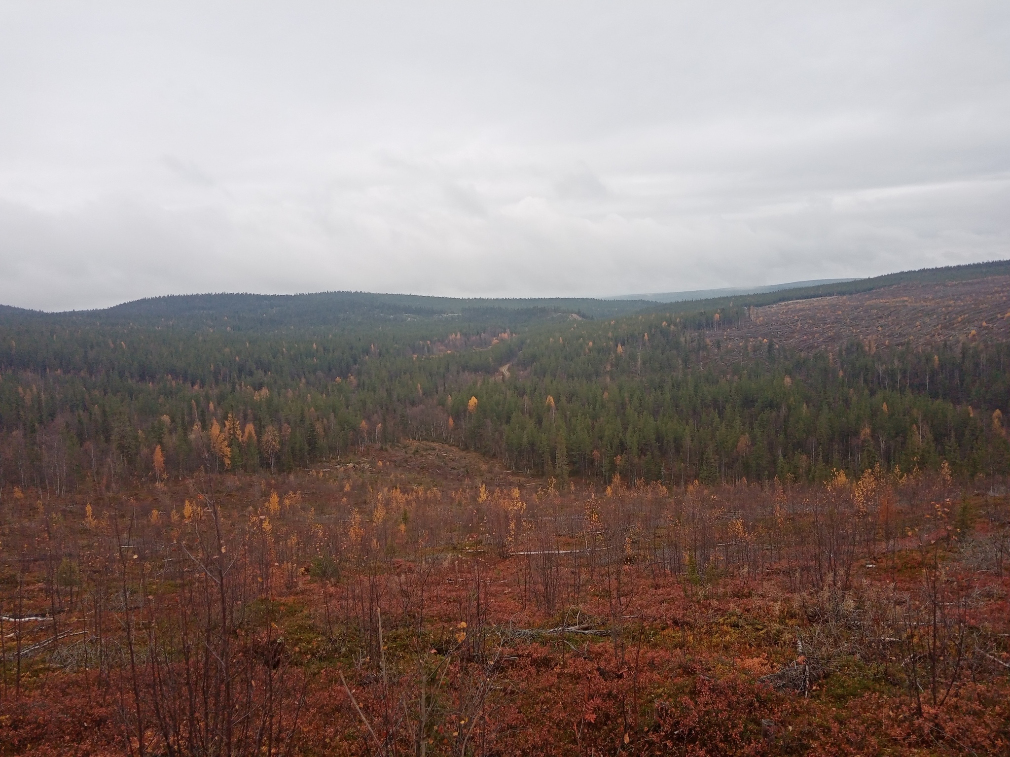 Hike and nature - My, wildlife, Nature, The nature of Russia, Autumn, Northern nature, Forest, The mountains, Longpost