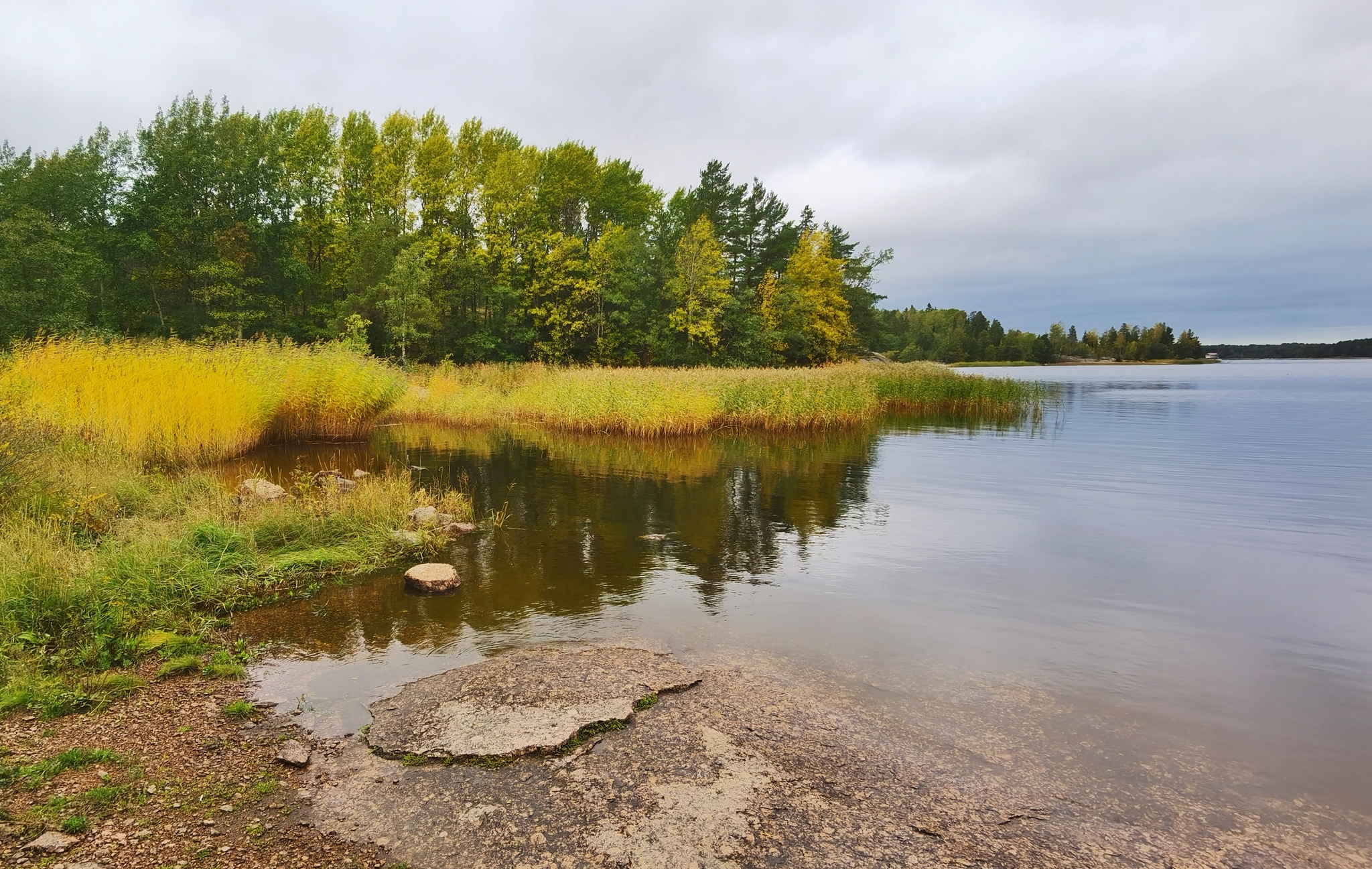 Gustoy Island. The Gulf of Finland - My, Mobile photography, Leningrad region, The Gulf of Finland, Island, Autumn, Landscape, Russia, Longpost, Nature