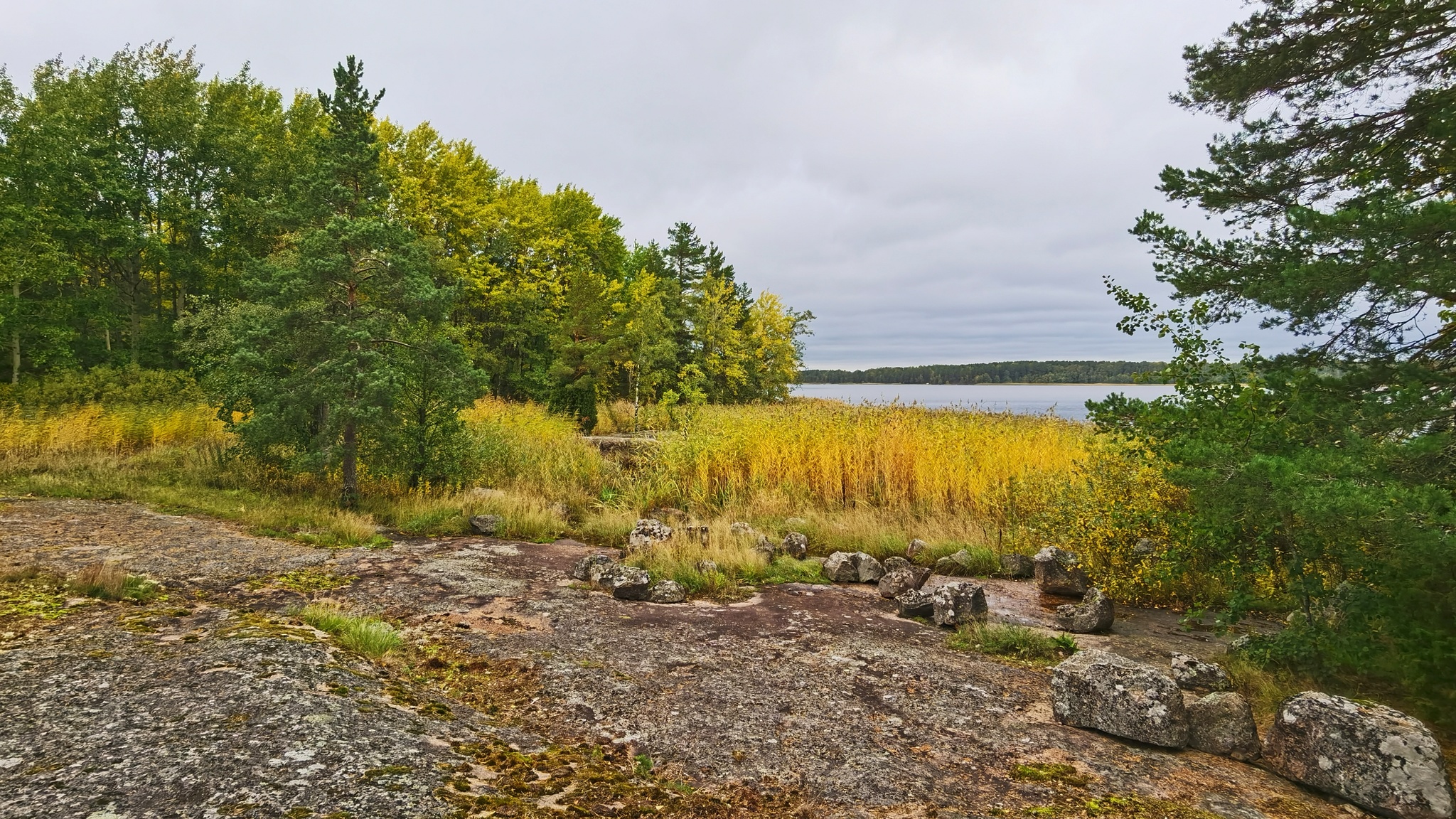 Gustoy Island. The Gulf of Finland - My, Mobile photography, Leningrad region, The Gulf of Finland, Island, Autumn, Landscape, Russia, Longpost, Nature