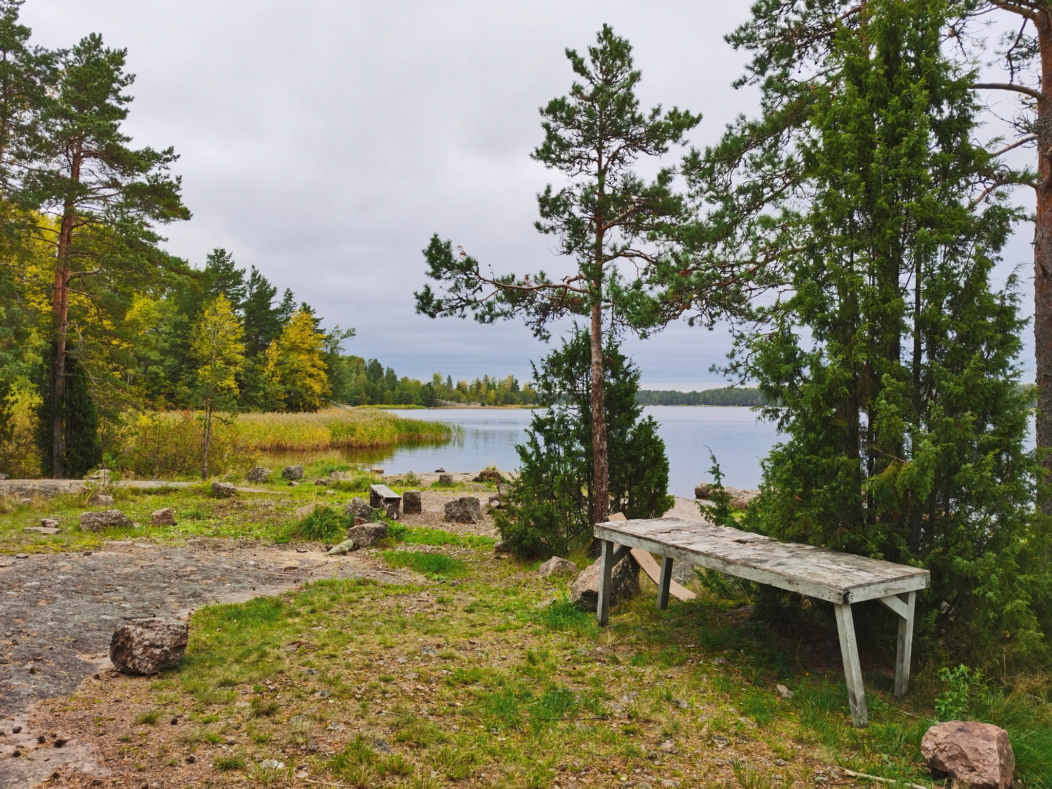 Gustoy Island. The Gulf of Finland - My, Mobile photography, Leningrad region, The Gulf of Finland, Island, Autumn, Landscape, Russia, Longpost, Nature