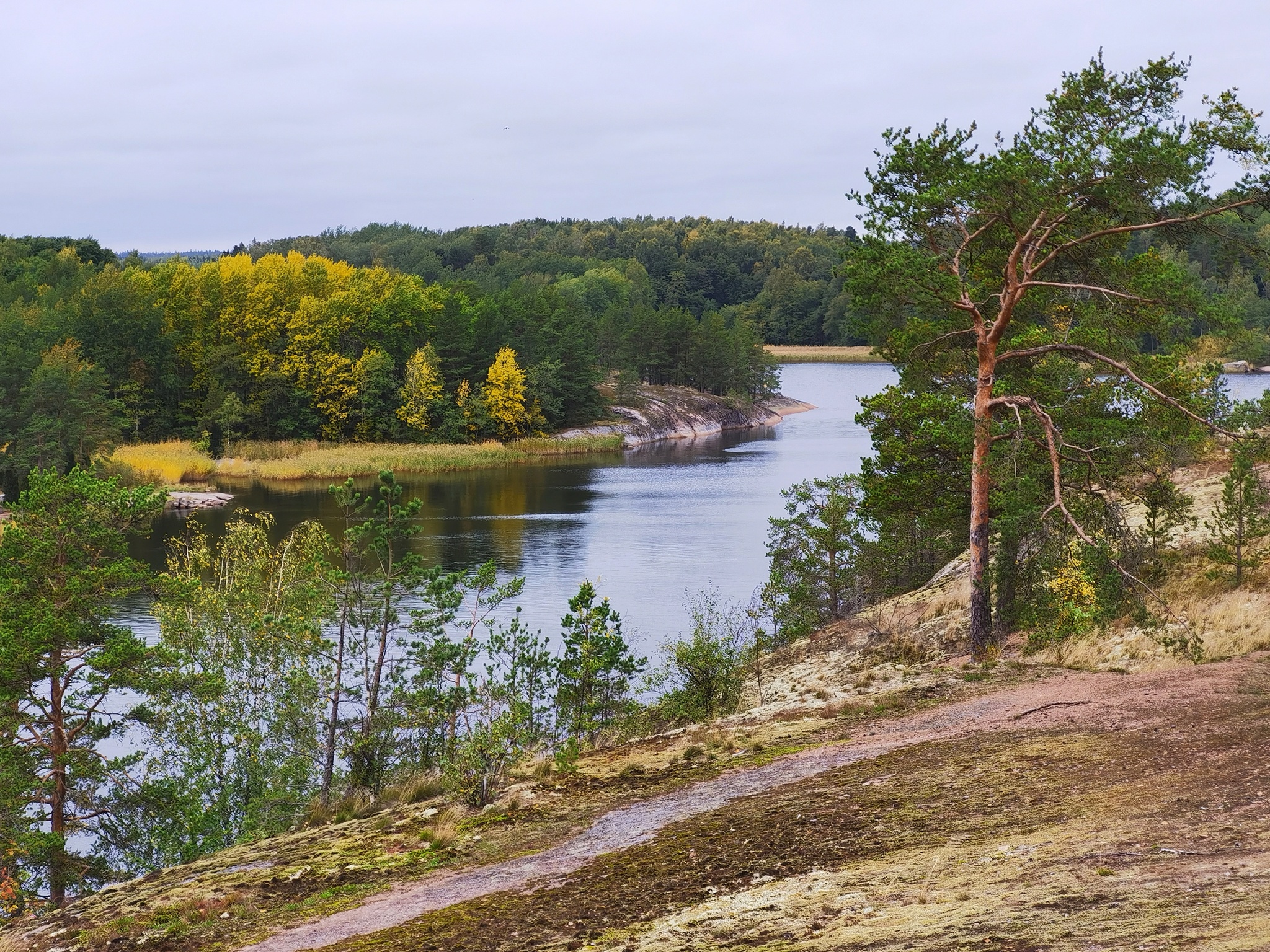 Gustoy Island. The Gulf of Finland - My, Mobile photography, Leningrad region, The Gulf of Finland, Island, Autumn, Landscape, Russia, Longpost, Nature