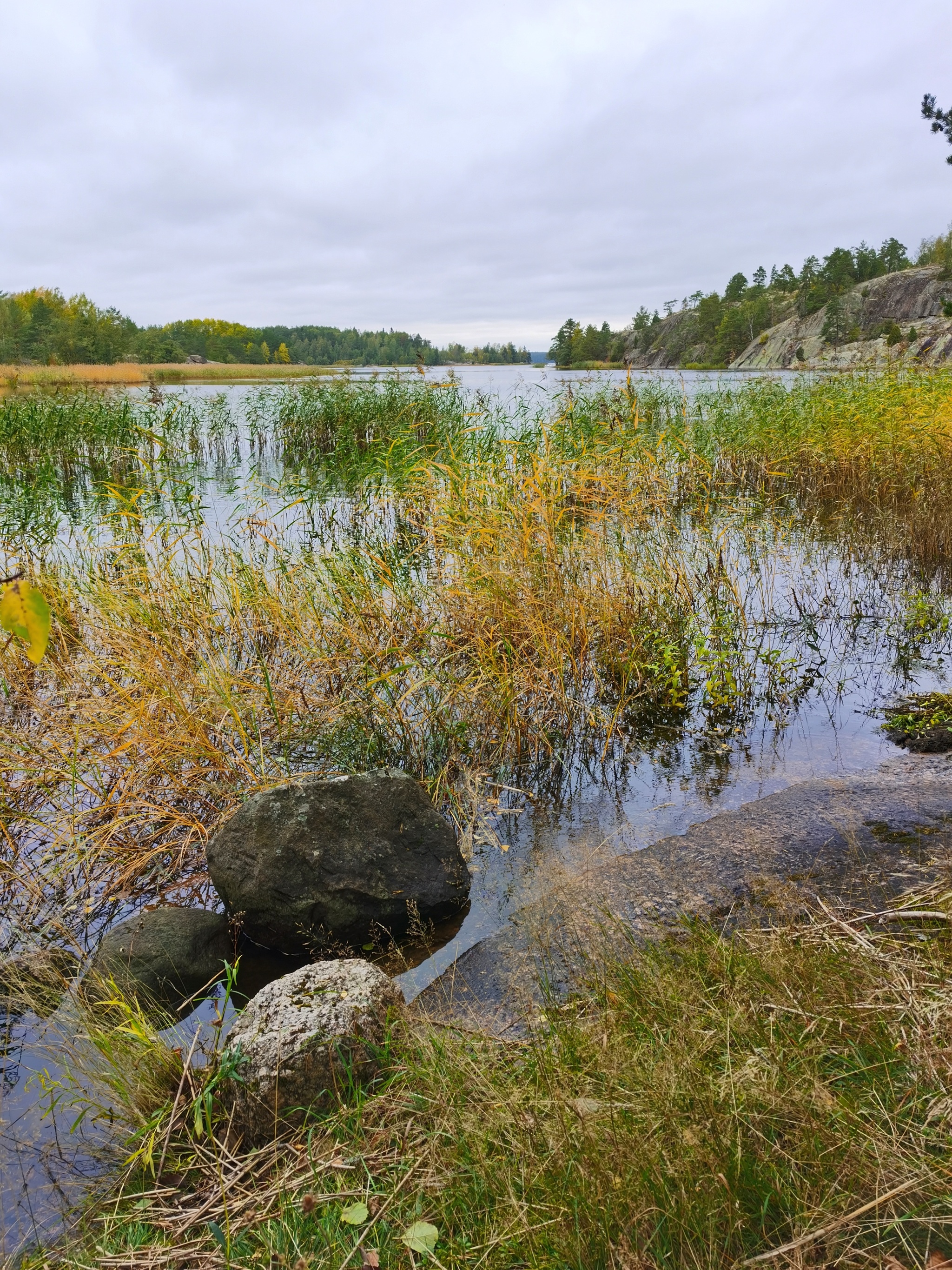 Gustoy Island. The Gulf of Finland - My, Mobile photography, Leningrad region, The Gulf of Finland, Island, Autumn, Landscape, Russia, Longpost, Nature