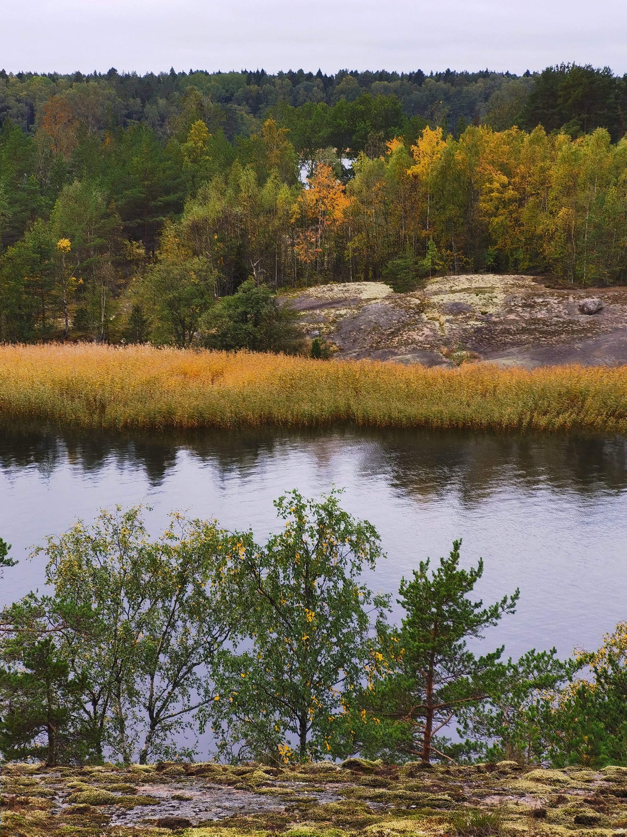 Gustoy Island. The Gulf of Finland - My, Mobile photography, Leningrad region, The Gulf of Finland, Island, Autumn, Landscape, Russia, Longpost, Nature