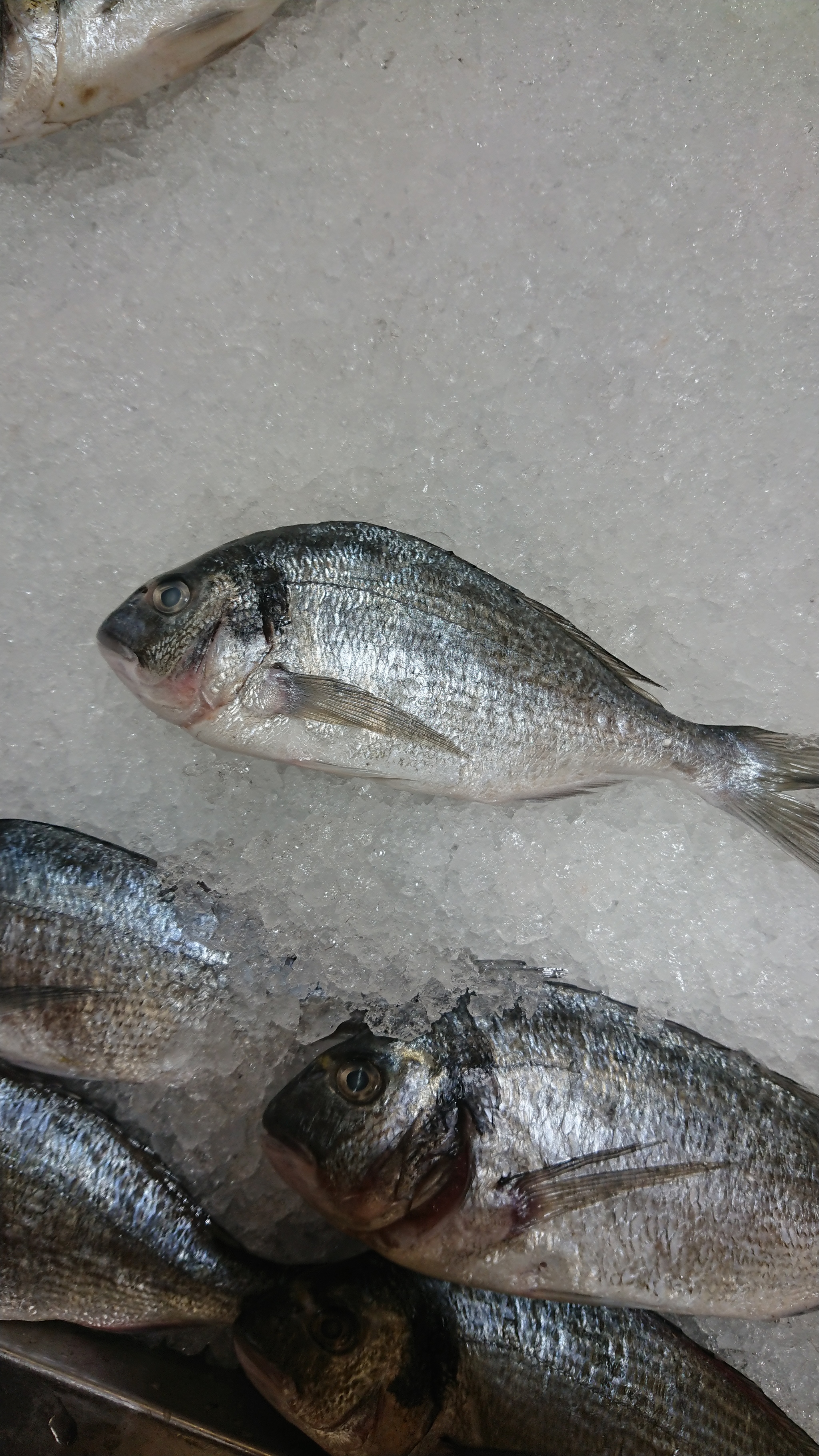 I'm frying dorado for the first time - My, Dorada, Dinner, Longpost