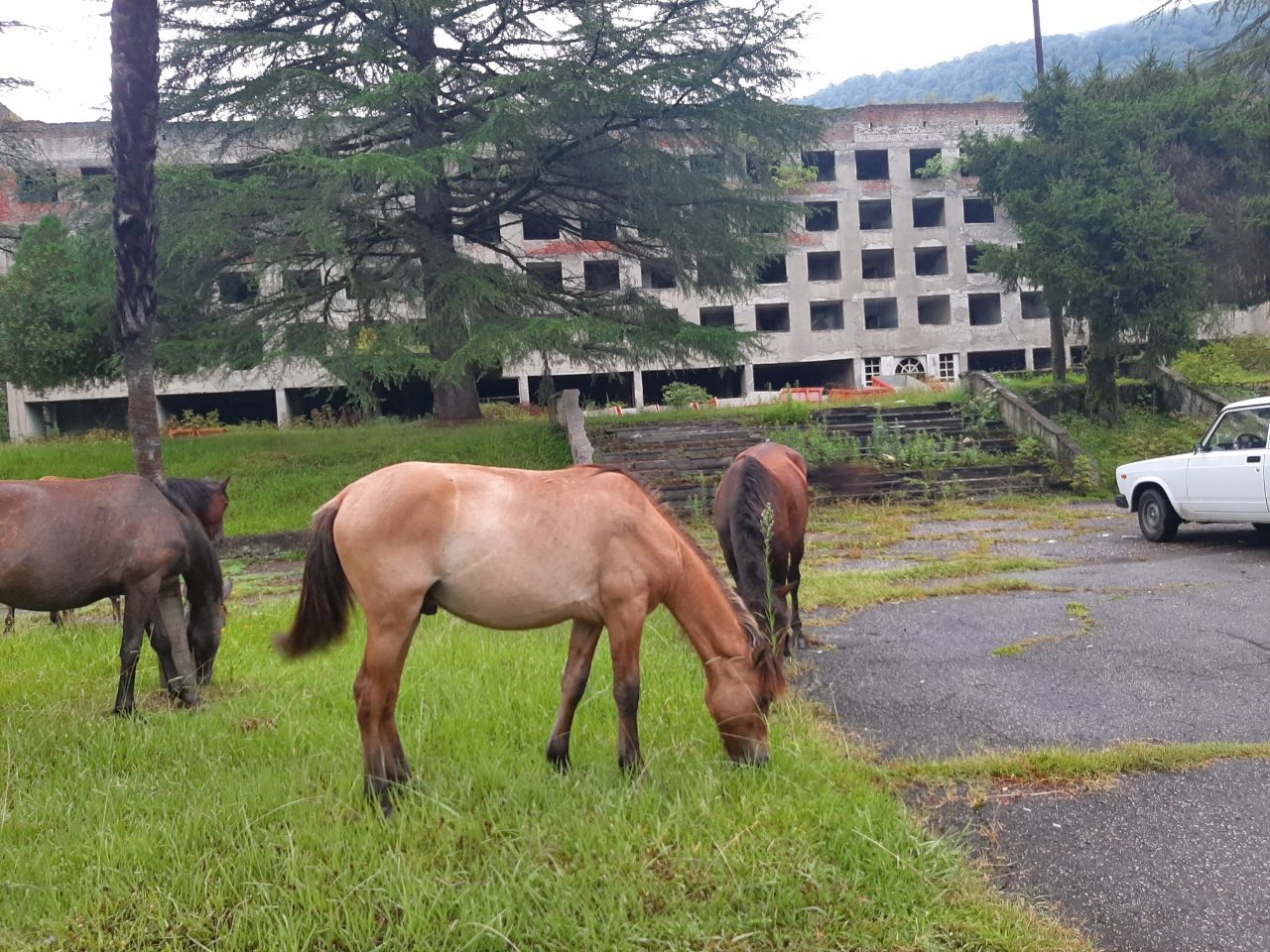 Quarantine travel - Day 81. Tkuarchal - ghost town and Beddiy temple - My, Abkhazia, Tkvarcheli, Tkuarchal, Travels, Budget travel, Longpost