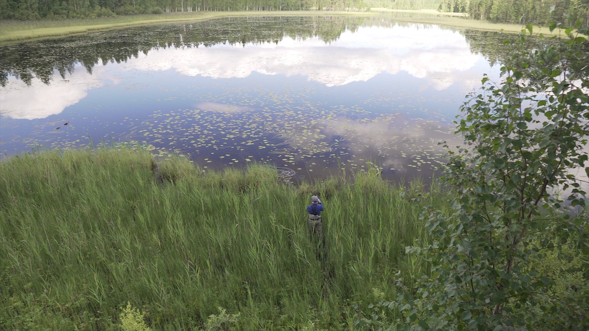 Swampy micro-stream filled with perch. Black perches in the pits - My, Fishing, Perch, Autumn, Nature, Spinning, Video, Longpost