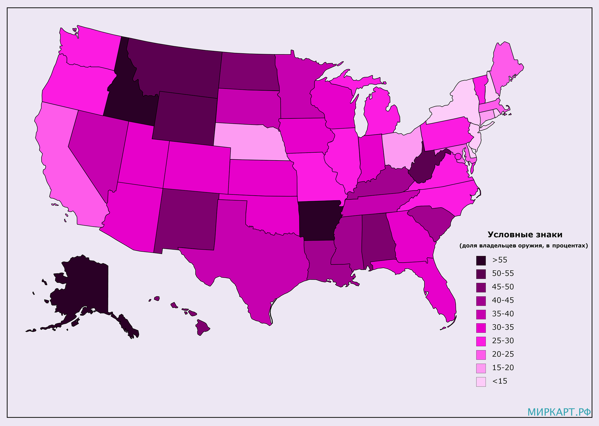 Proportion of gun owners in the US population - USA, Weapon, Protection, Cards, Infographics, Statistics