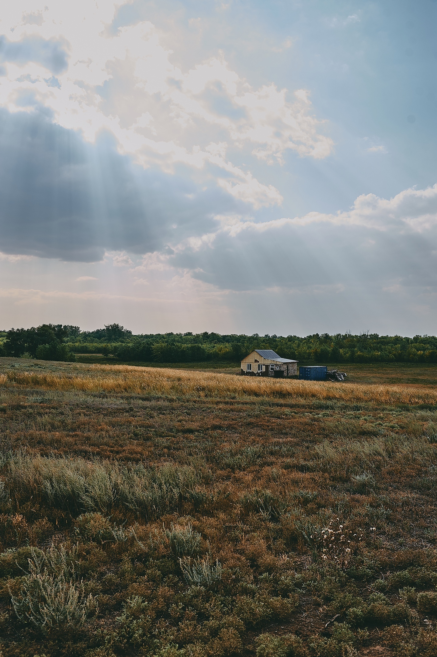 Summer landscapes - My, Kazakhstan, Uralsk, Nikon, Landscape, The photo, Longpost