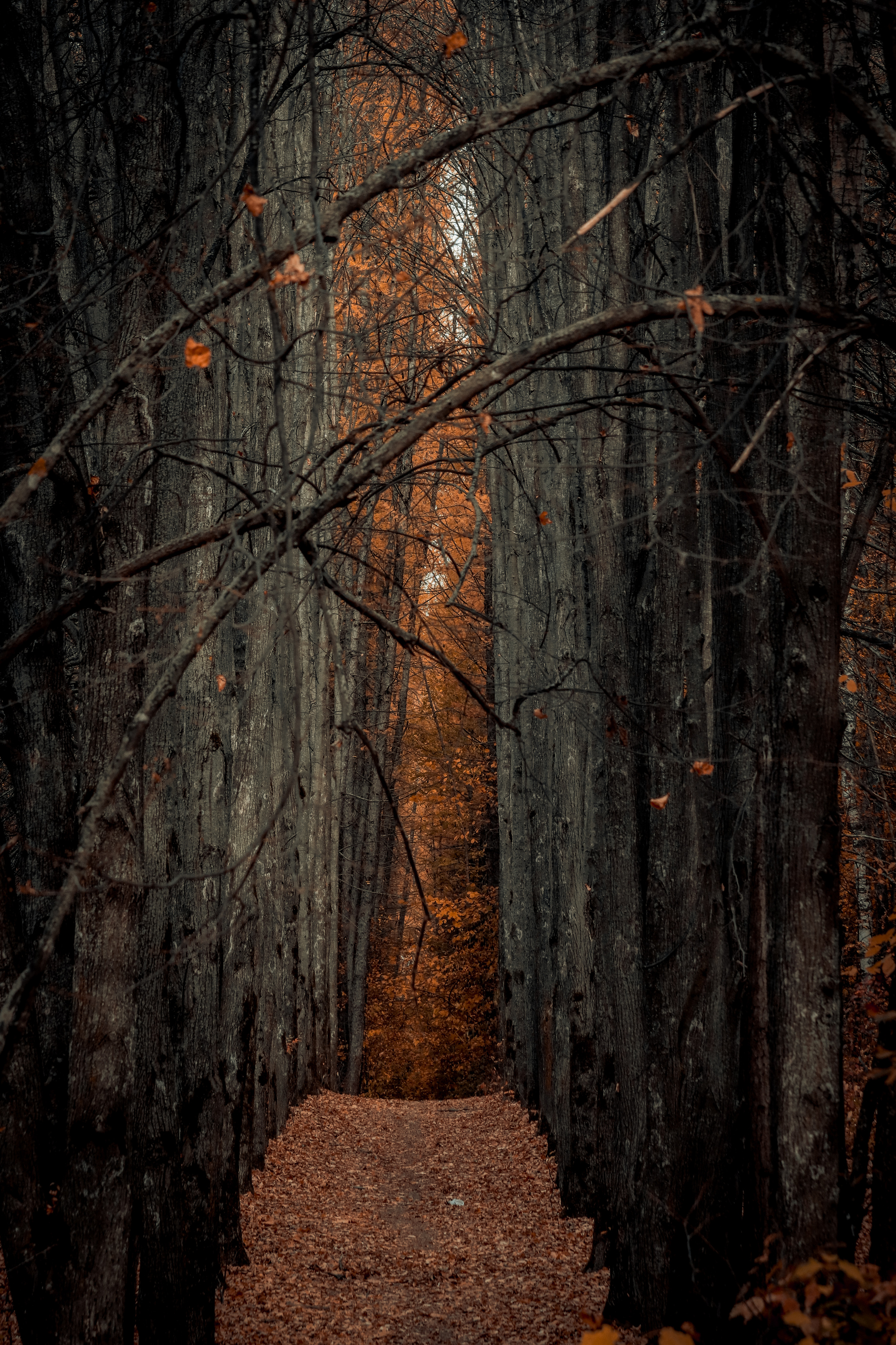 Cycling - My, The photo, A bike, Nature, Longpost