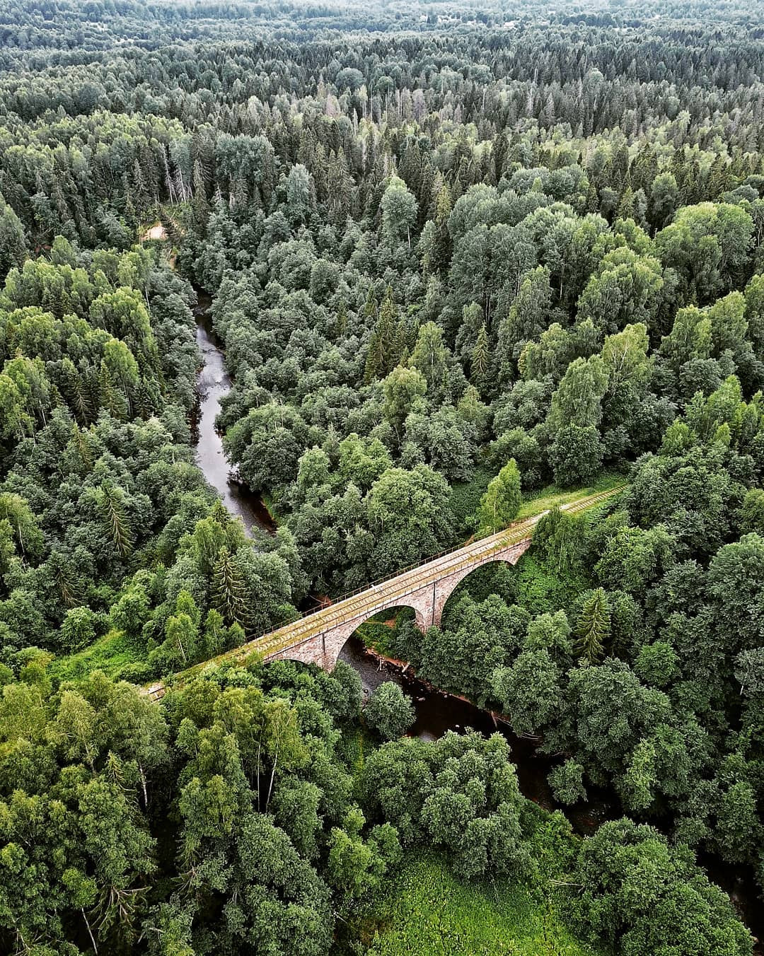 Виадук в Новгородской области - Архитектура, Мост, Железная Дорога, История, Длиннопост