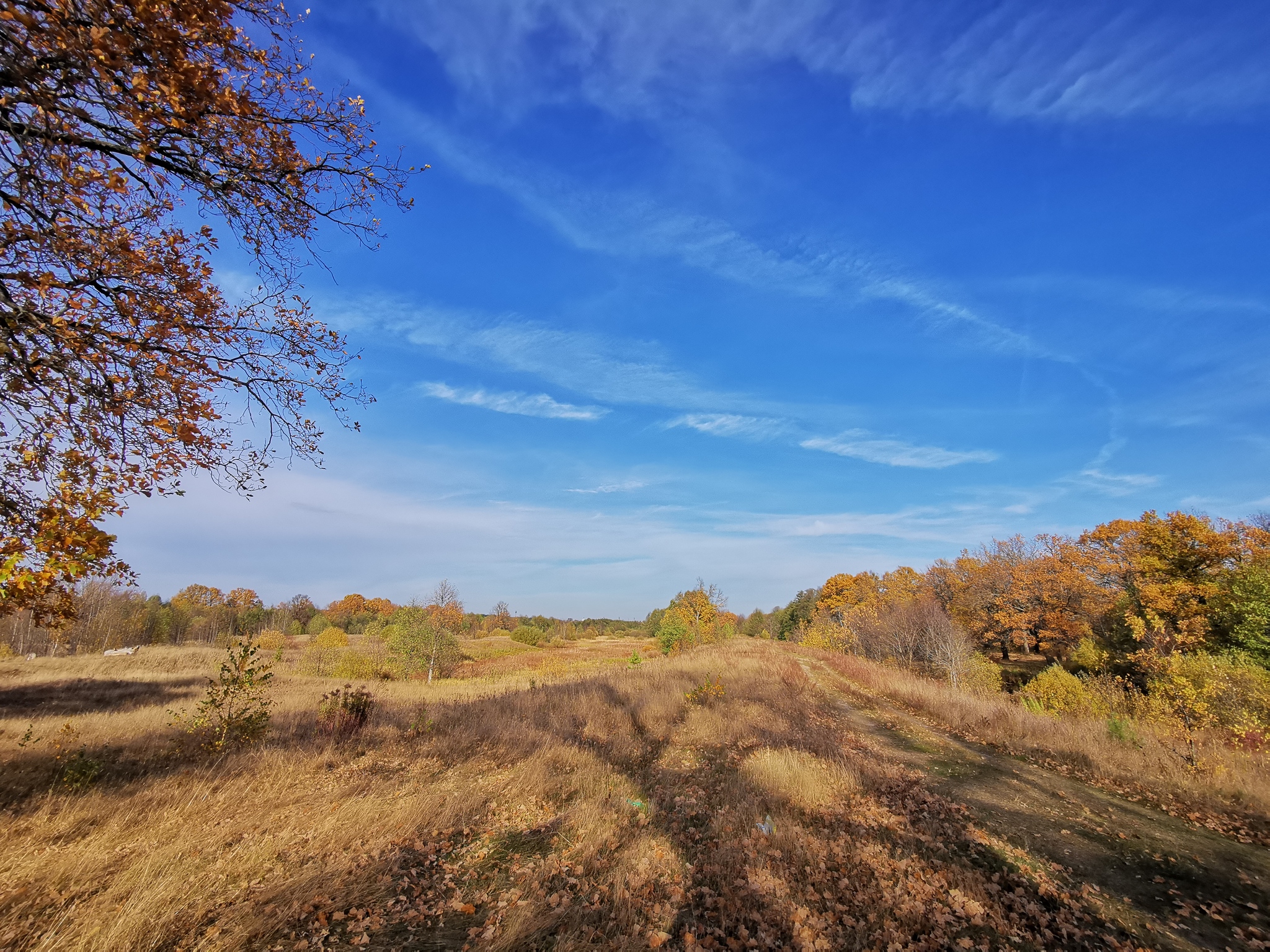 Октябрь - Моё, Мобильная фотография, Пейзаж, Природа, Осень, Октябрь, Huawei mate 20, Длиннопост