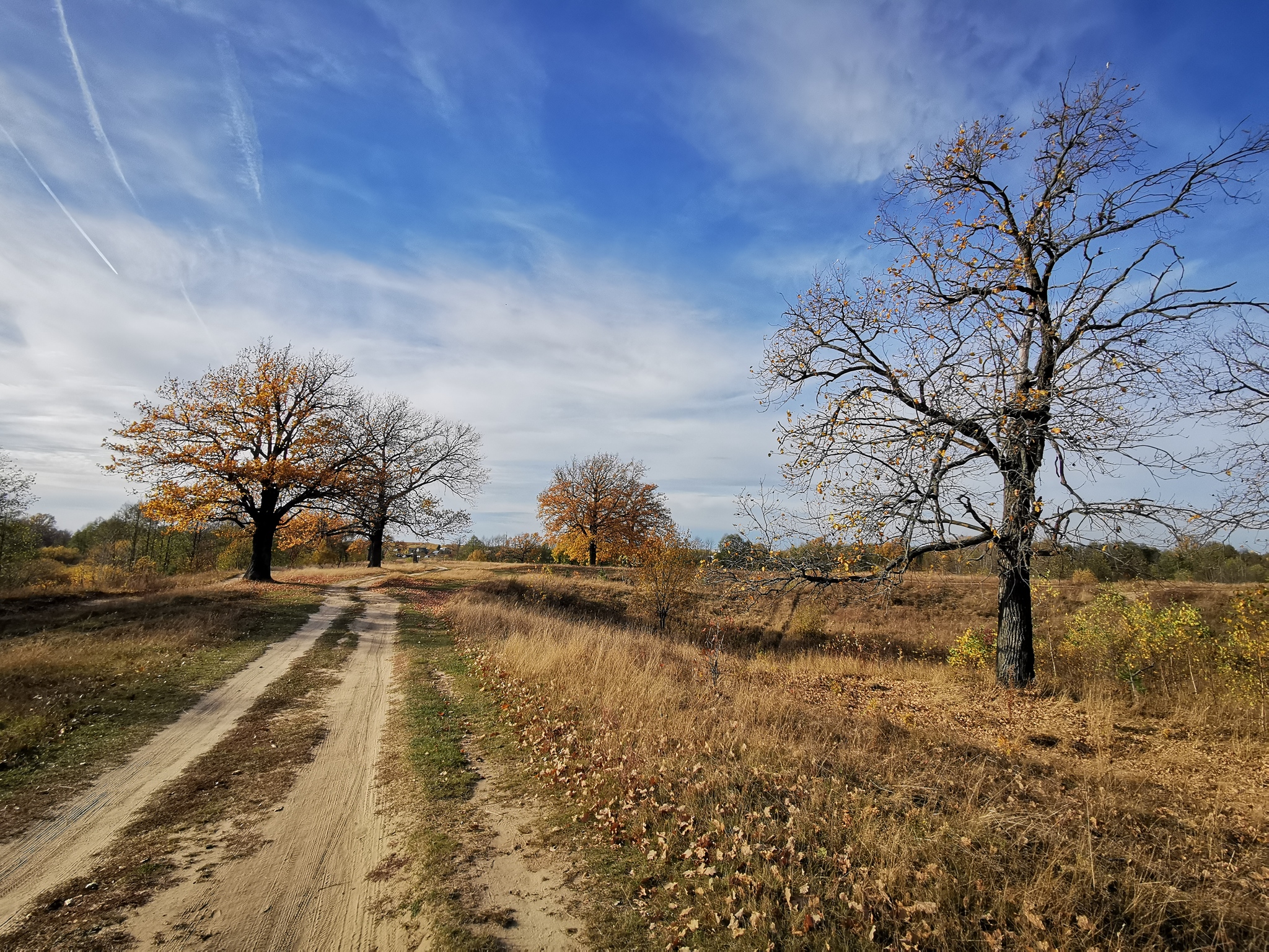 Октябрь - Моё, Мобильная фотография, Пейзаж, Природа, Осень, Октябрь, Huawei mate 20, Длиннопост