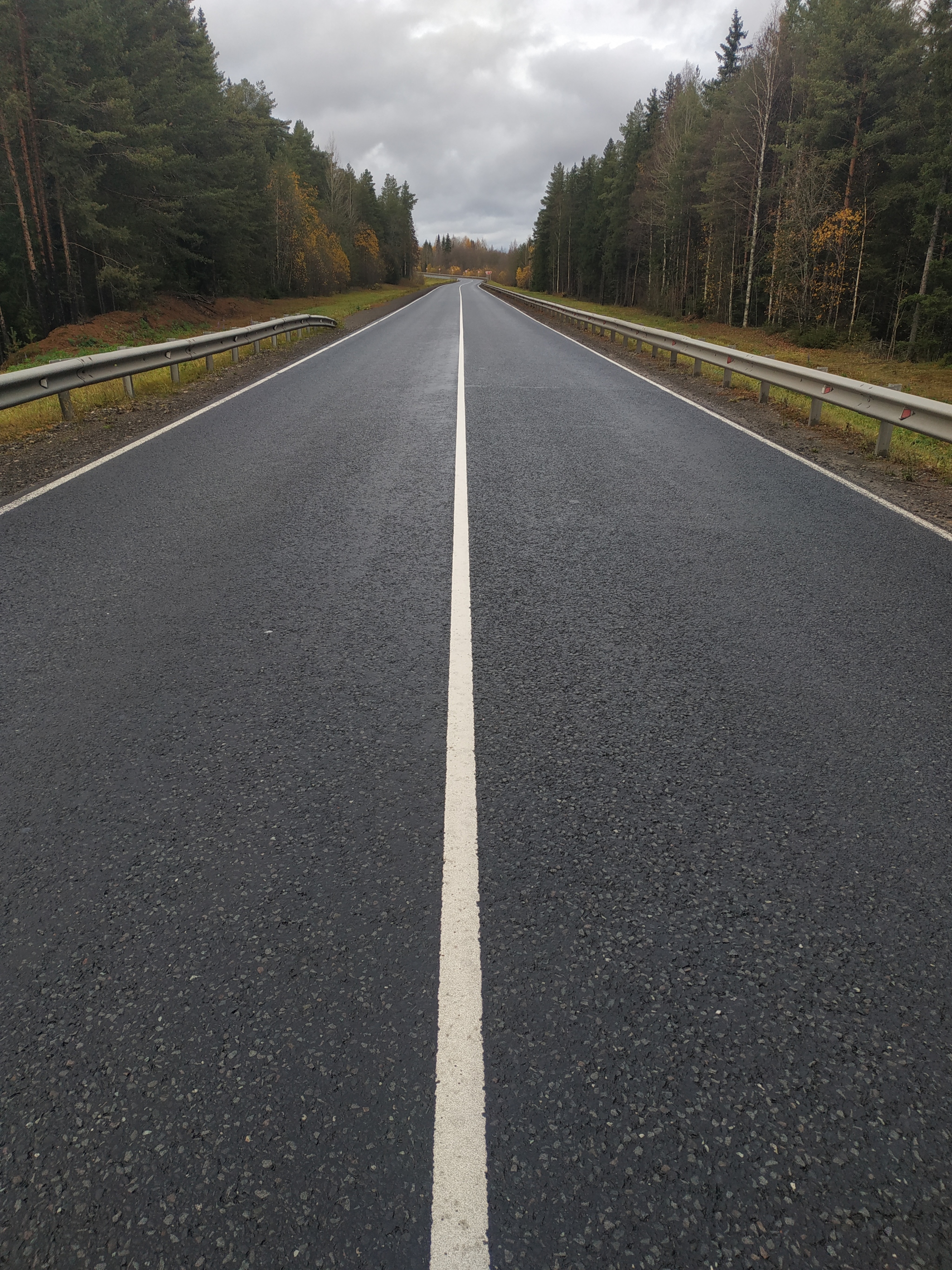 A couple of pictures from the Arkhangelsk-Yaroslavl highway - My, The photo, Forest, River, Road, Longpost