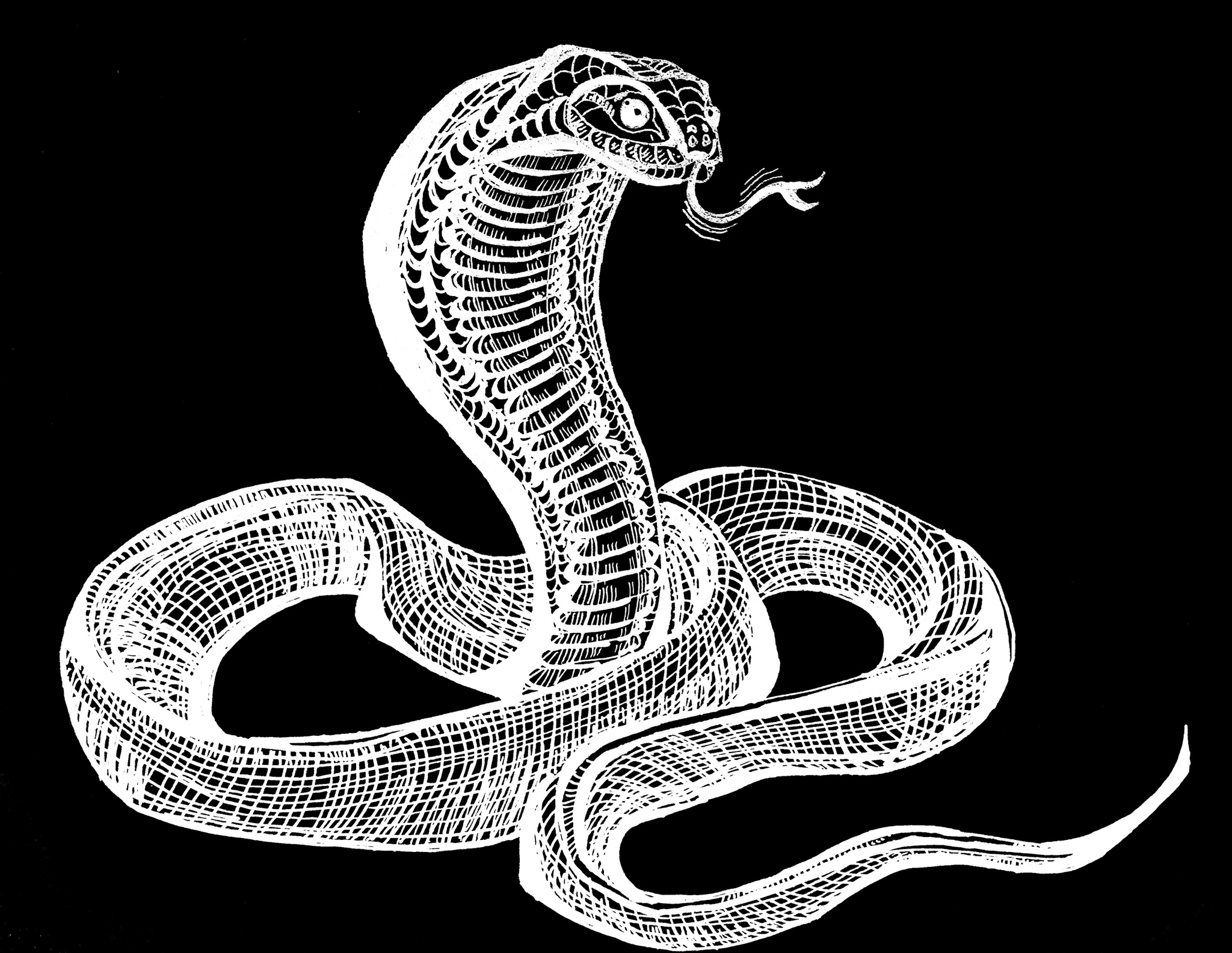 Рисунки кобры