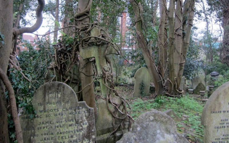 Night scenes from the second season of The Witcher are filmed in a gloomy cemetery in London - The Witcher series, Cemetery, London, Longpost, Witcher, Serials, Filming