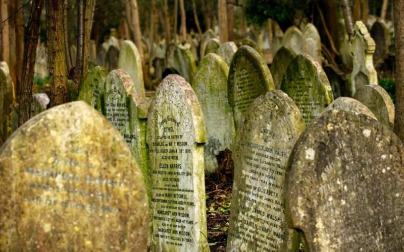 Night scenes from the second season of The Witcher are filmed in a gloomy cemetery in London - The Witcher series, Cemetery, London, Longpost, Witcher, Serials, Filming