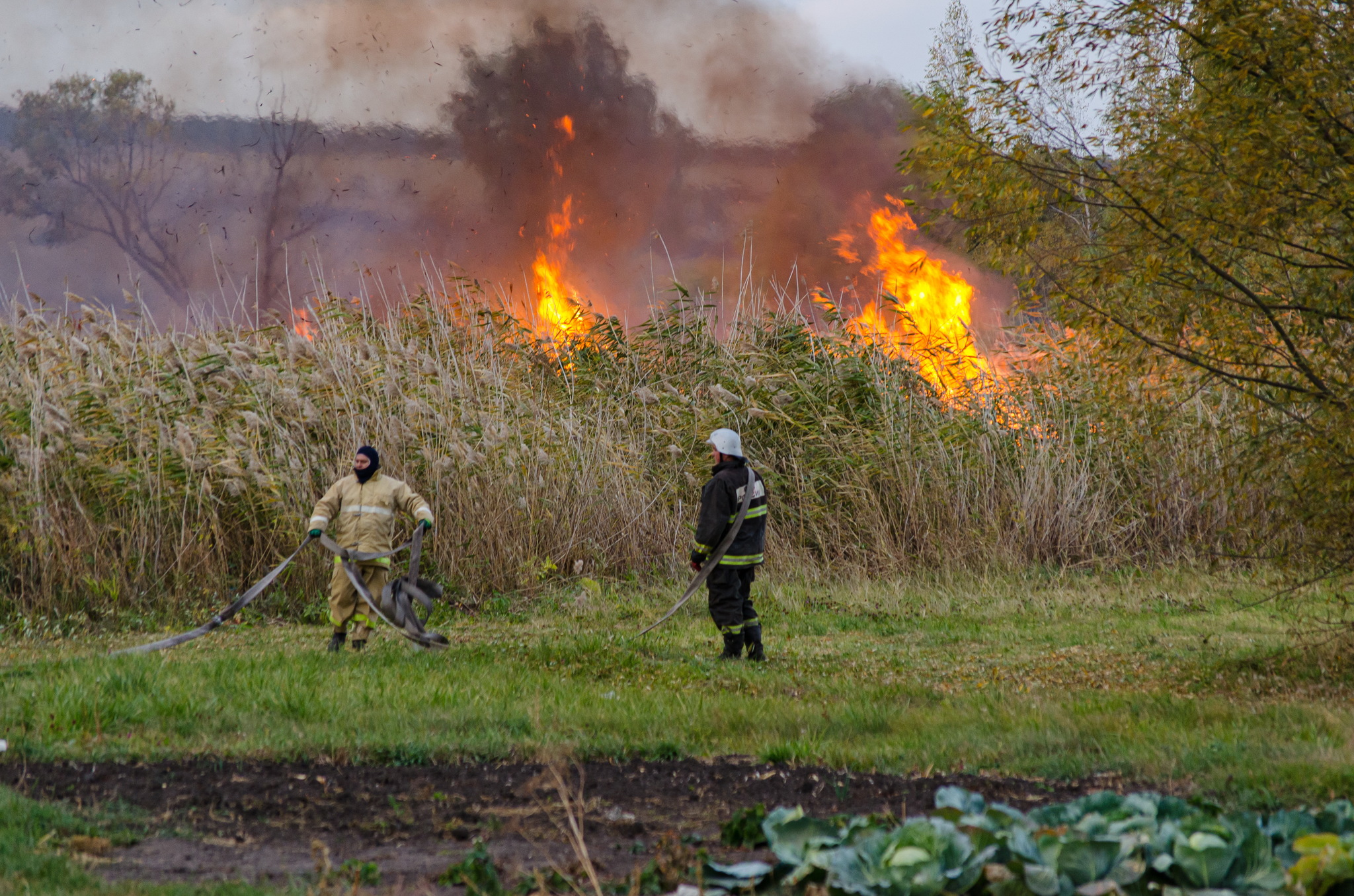 Fire element - My, Fire, Firefighters, Fire, Longpost