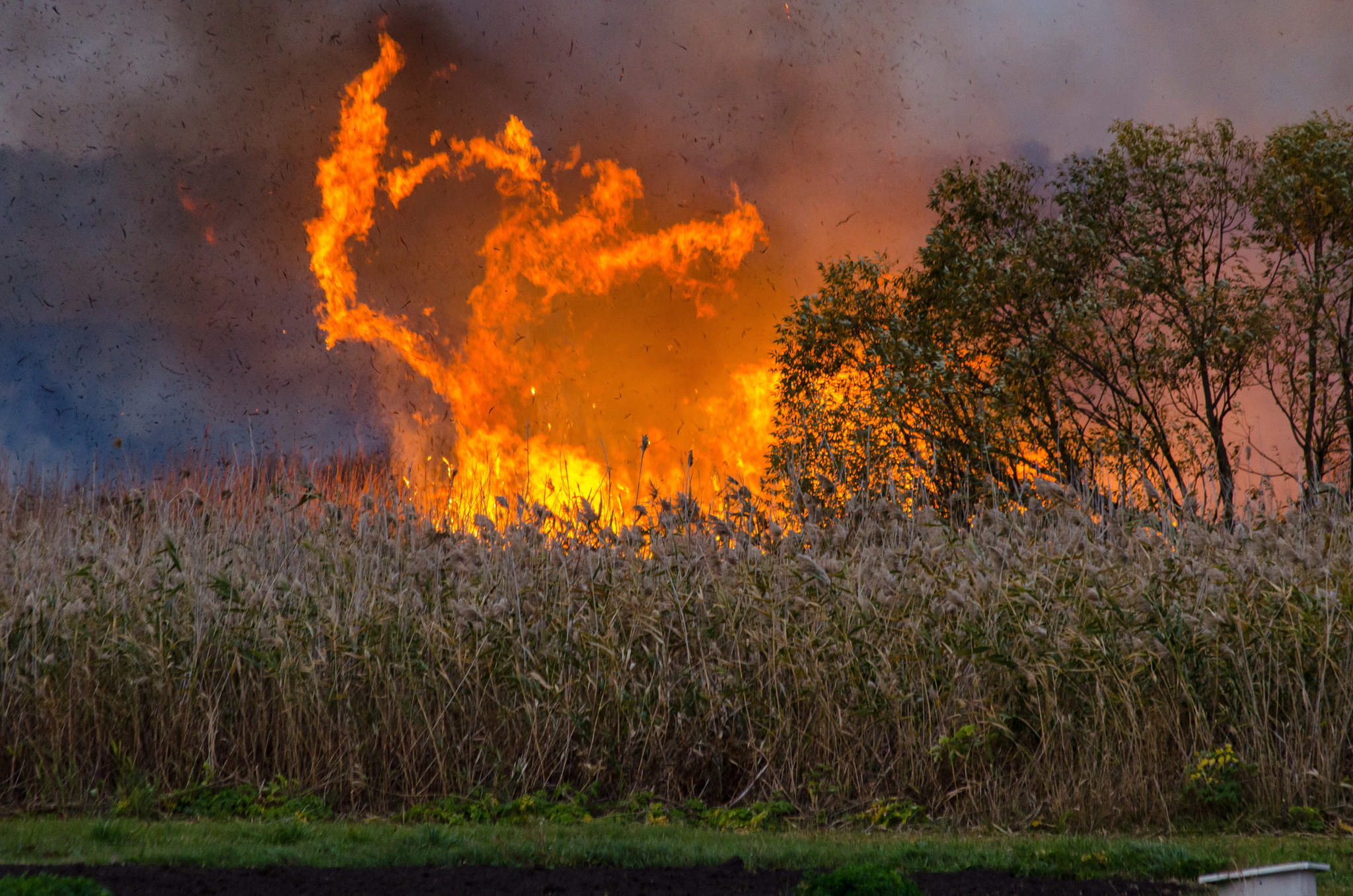 Fire element - My, Fire, Firefighters, Fire, Longpost