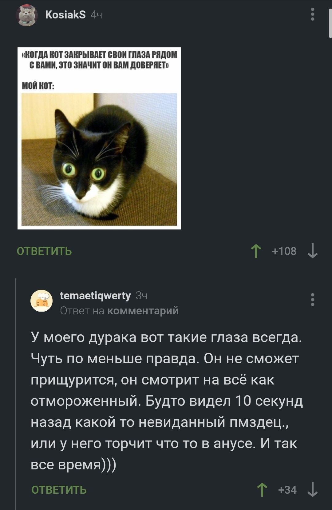 Fear of a cat - cat, Fear, Screenshot, Comments on Peekaboo, Longpost