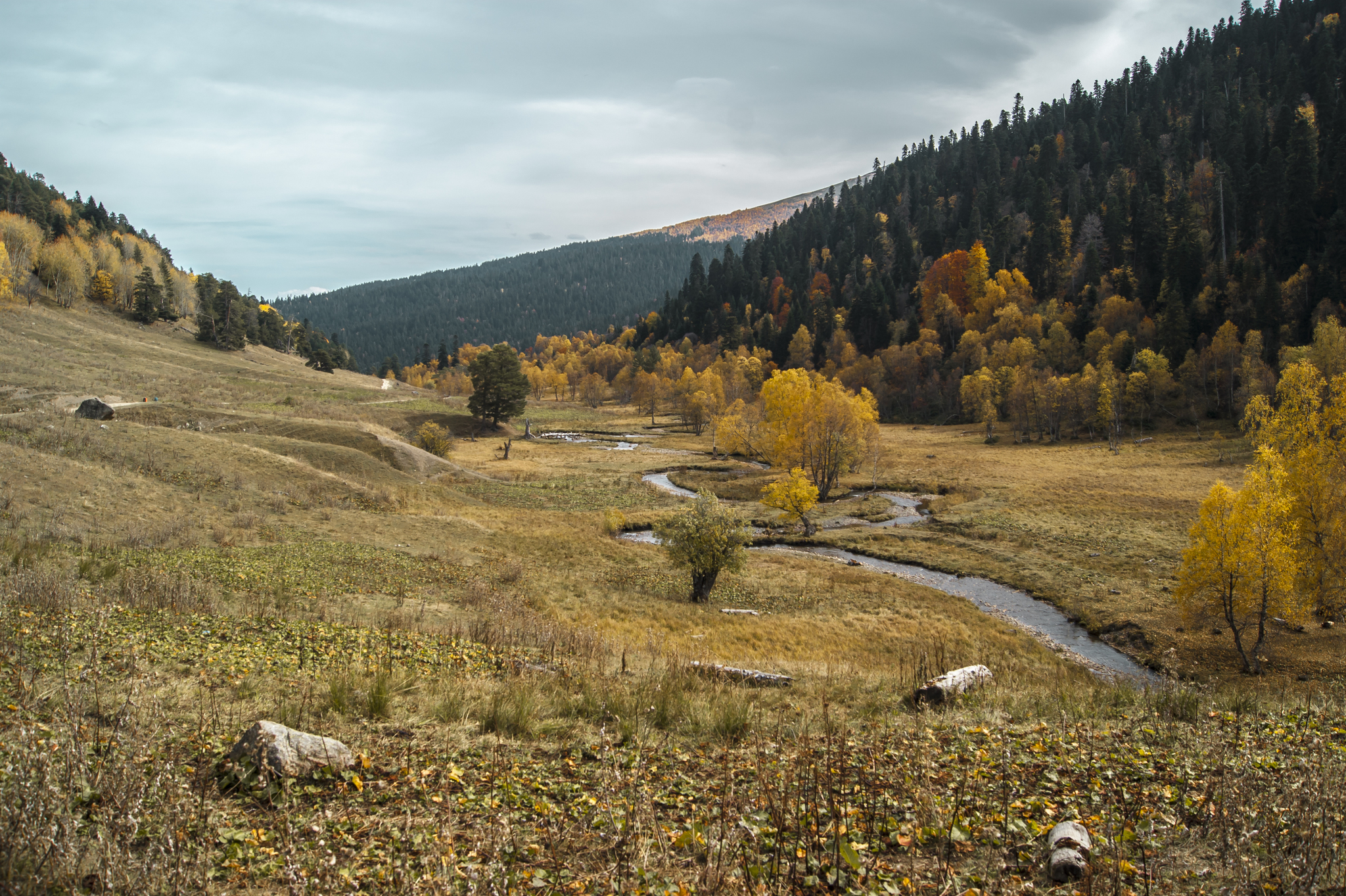 Mountain autumn - My, The mountains, Autumn, Tourism, Hike, The photo, Beginning photographer, Forest, Longpost, Nature