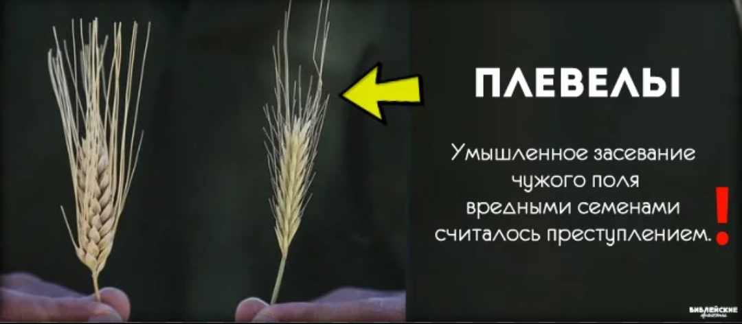 Клевета 3 - Библия, Христианство, Царь, Клевета, Убийство, Обман, Мошенничество