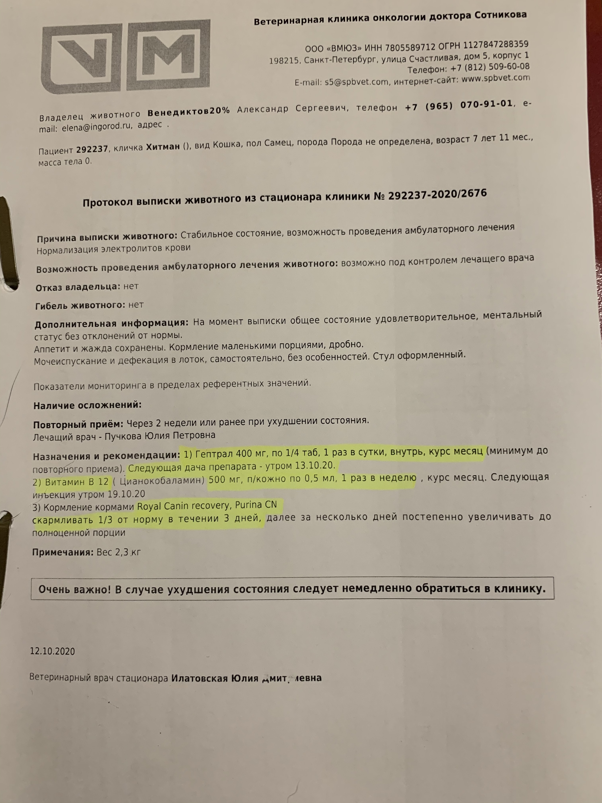 Продолжение поста «Кот провёл без еды и воды 2 недели запертый в квартире.  Сейчас его хотят выкинуть на улицу из подъезда» | Пикабу