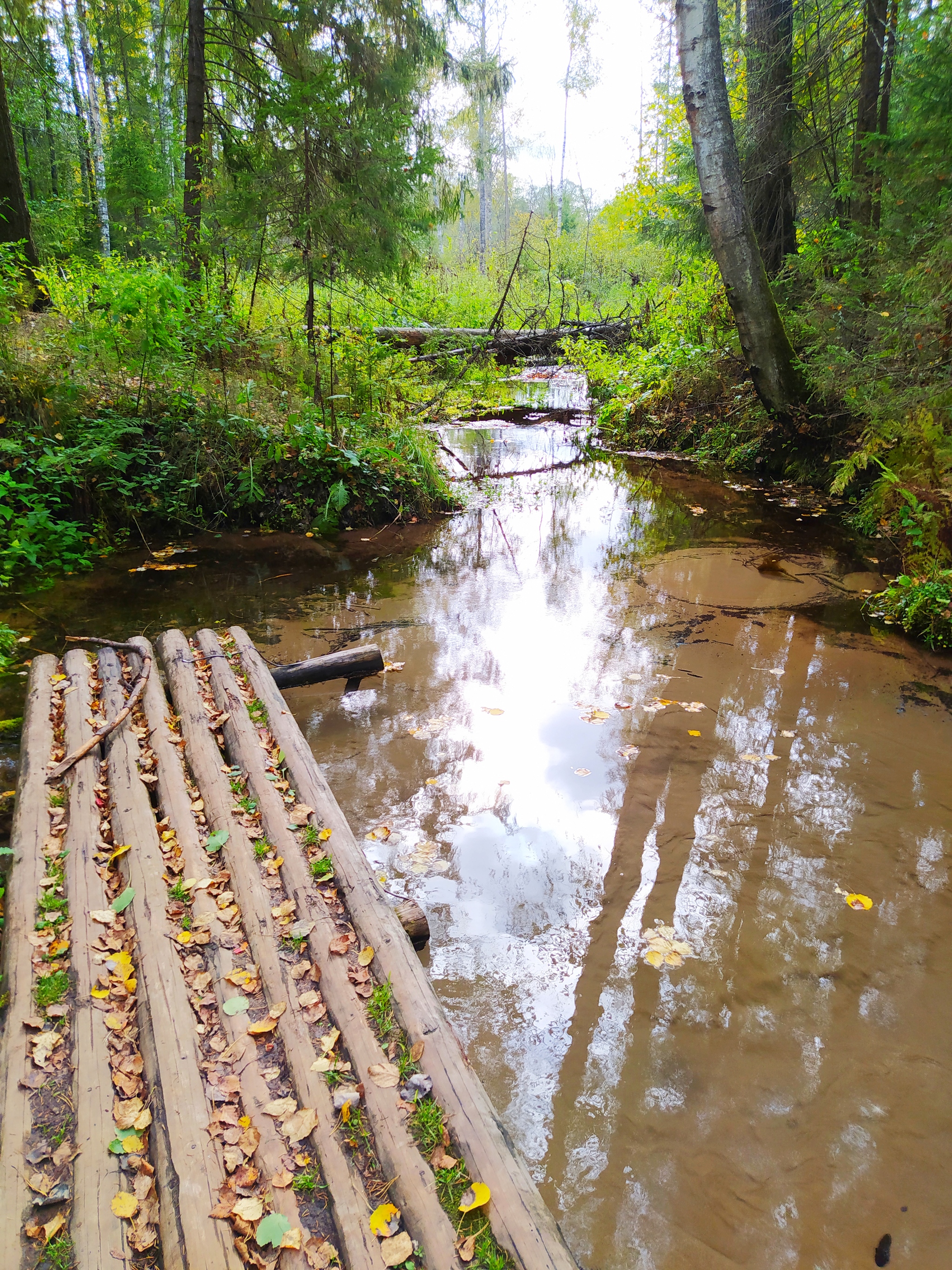 TOP 5 BEAUTIFUL SPRINGS OF UDMURTIA - My, Udmurtia, Spring, Nature, Longpost