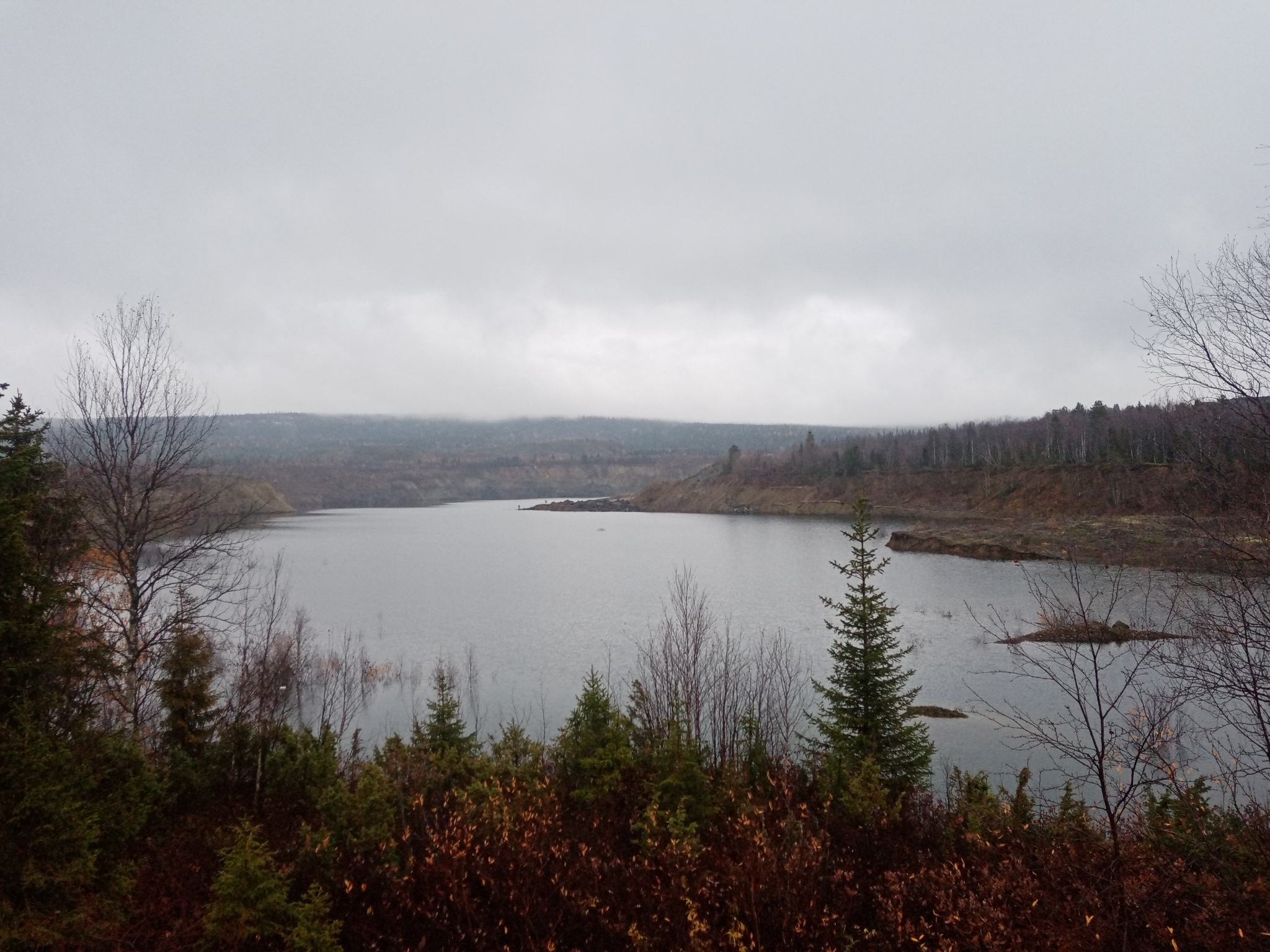 Nature - My, Northern nature, Nature, The nature of Russia, Forest, Autumn, Walk in the woods, Longpost