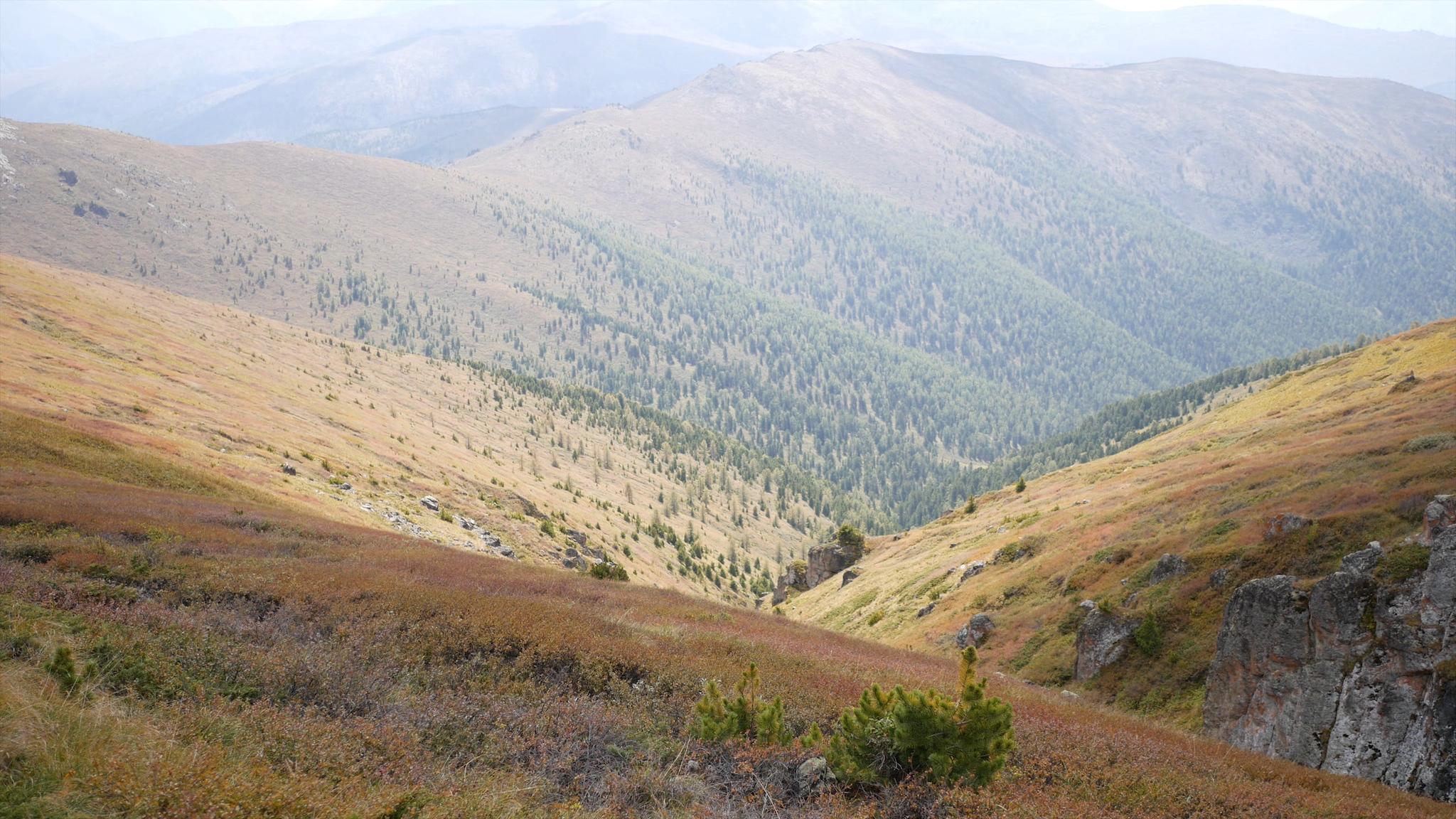 Mountain Altai. Hiking along the Oroktoy trail - My, Mountain Altai, Altai Republic, Tourism, Hike, Hiking, Landscape, Outdoor, Video, Longpost