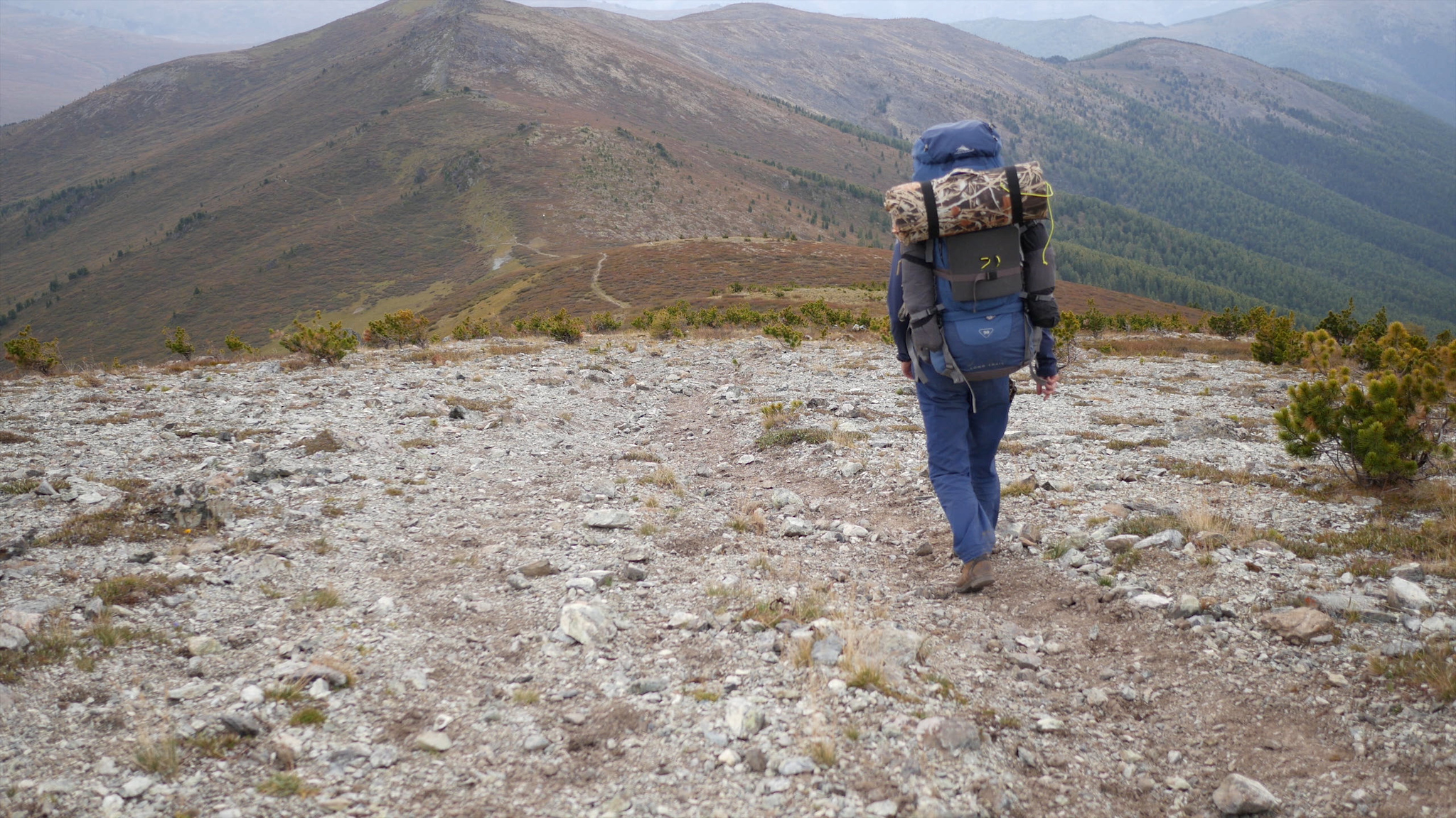 Mountain Altai. Hiking along the Oroktoy trail - My, Mountain Altai, Altai Republic, Tourism, Hike, Hiking, Landscape, Outdoor, Video, Longpost