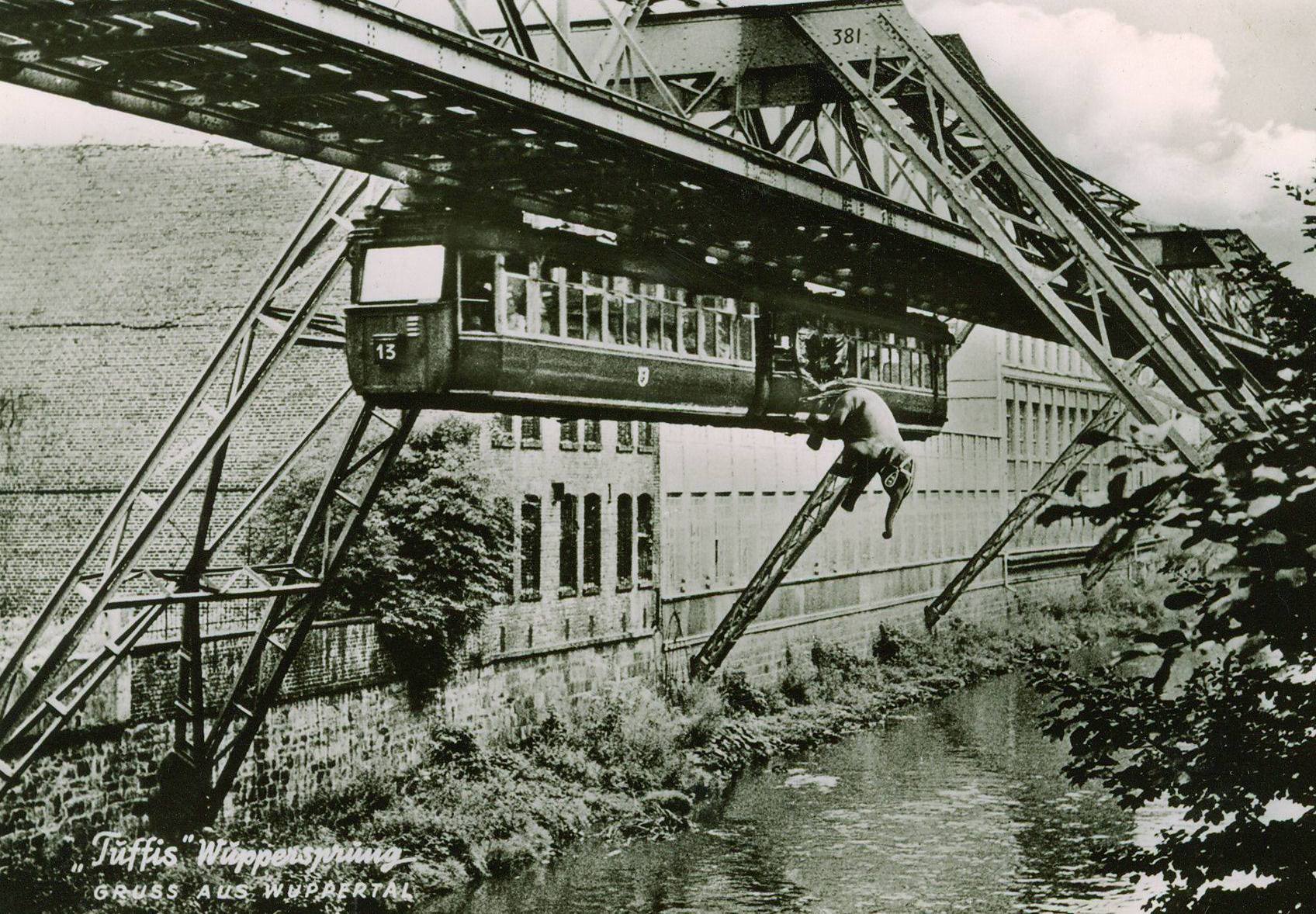 Point on the map - Wuppertal Suspension Railway - Germany, Wuppertal, Monorail, Elephants, Longpost