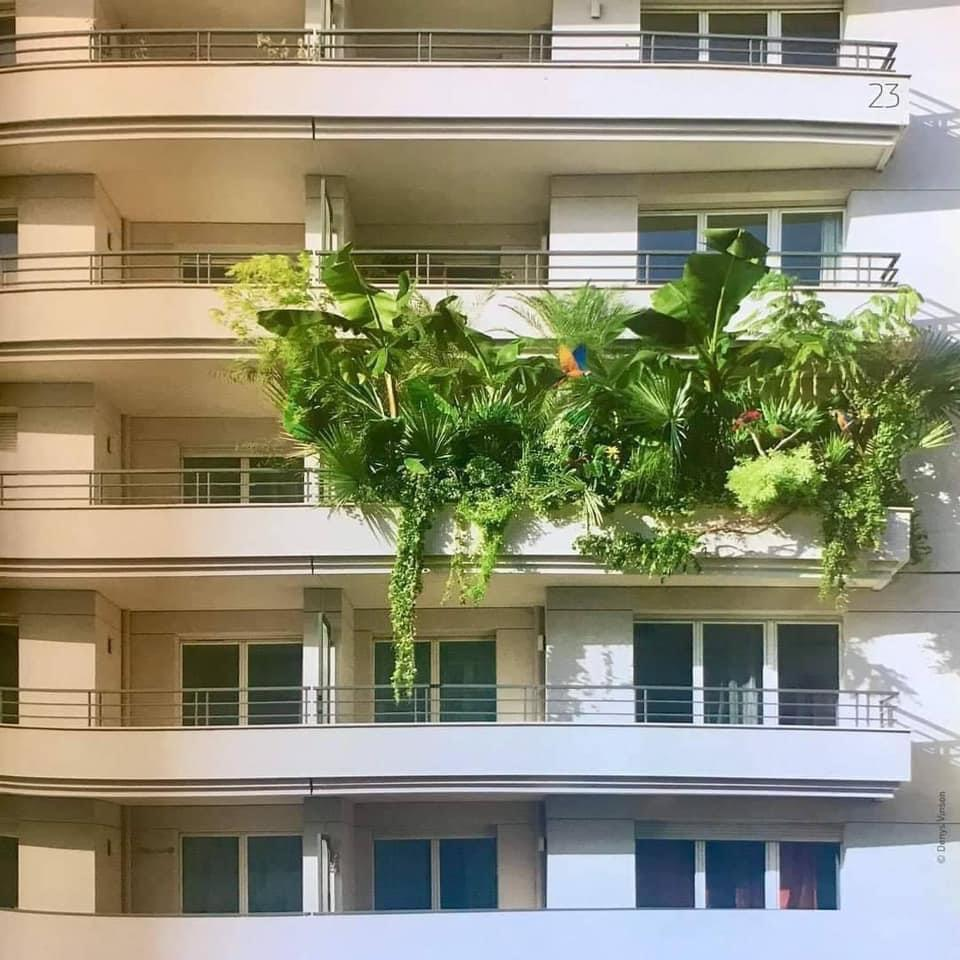 I'm a little interested in indoor plants... - Balcony, Plants