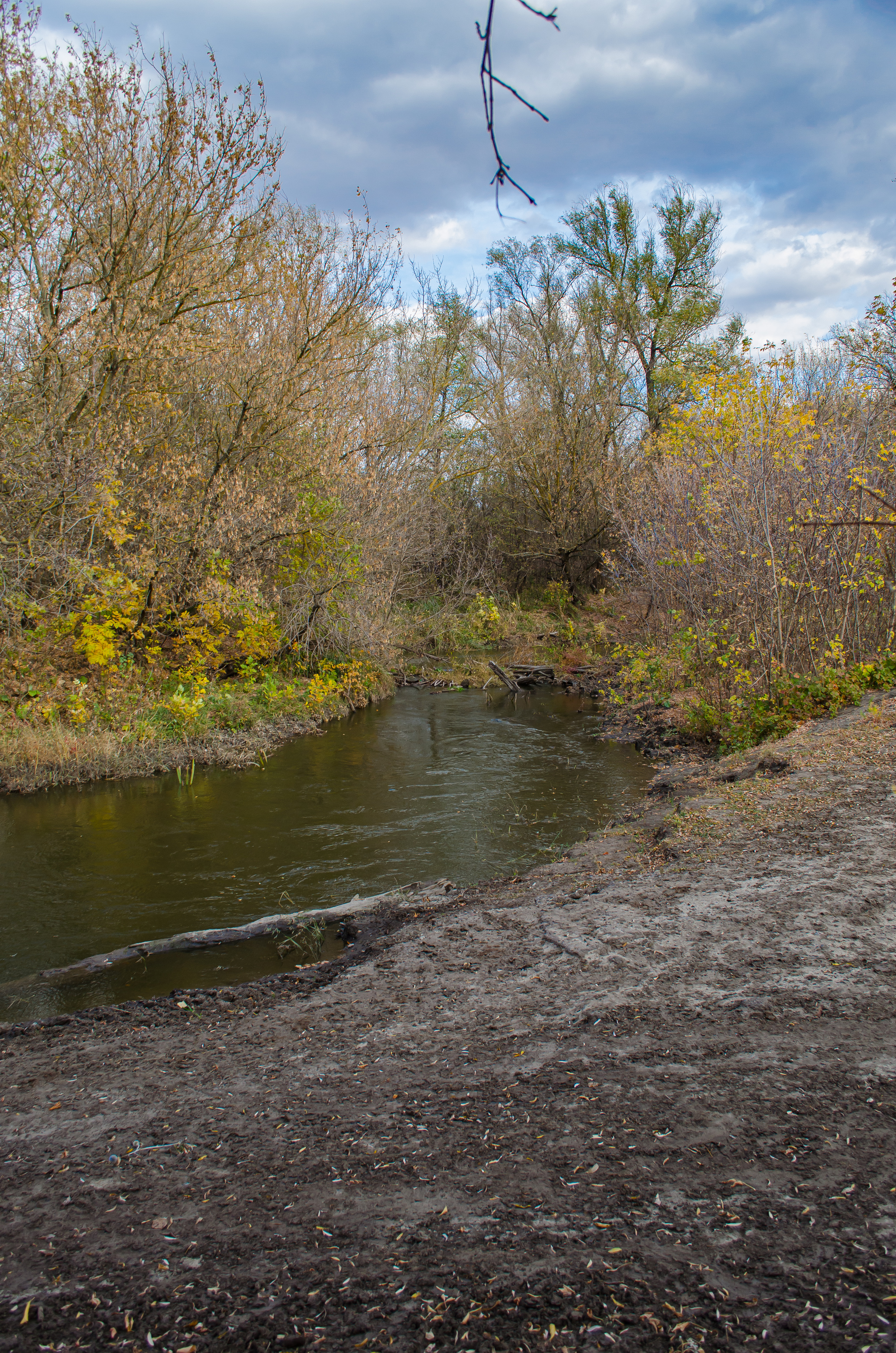 Autumn rides - My, Nikon d5100, The photo, Autumn, Nature, Bike ride, Longpost