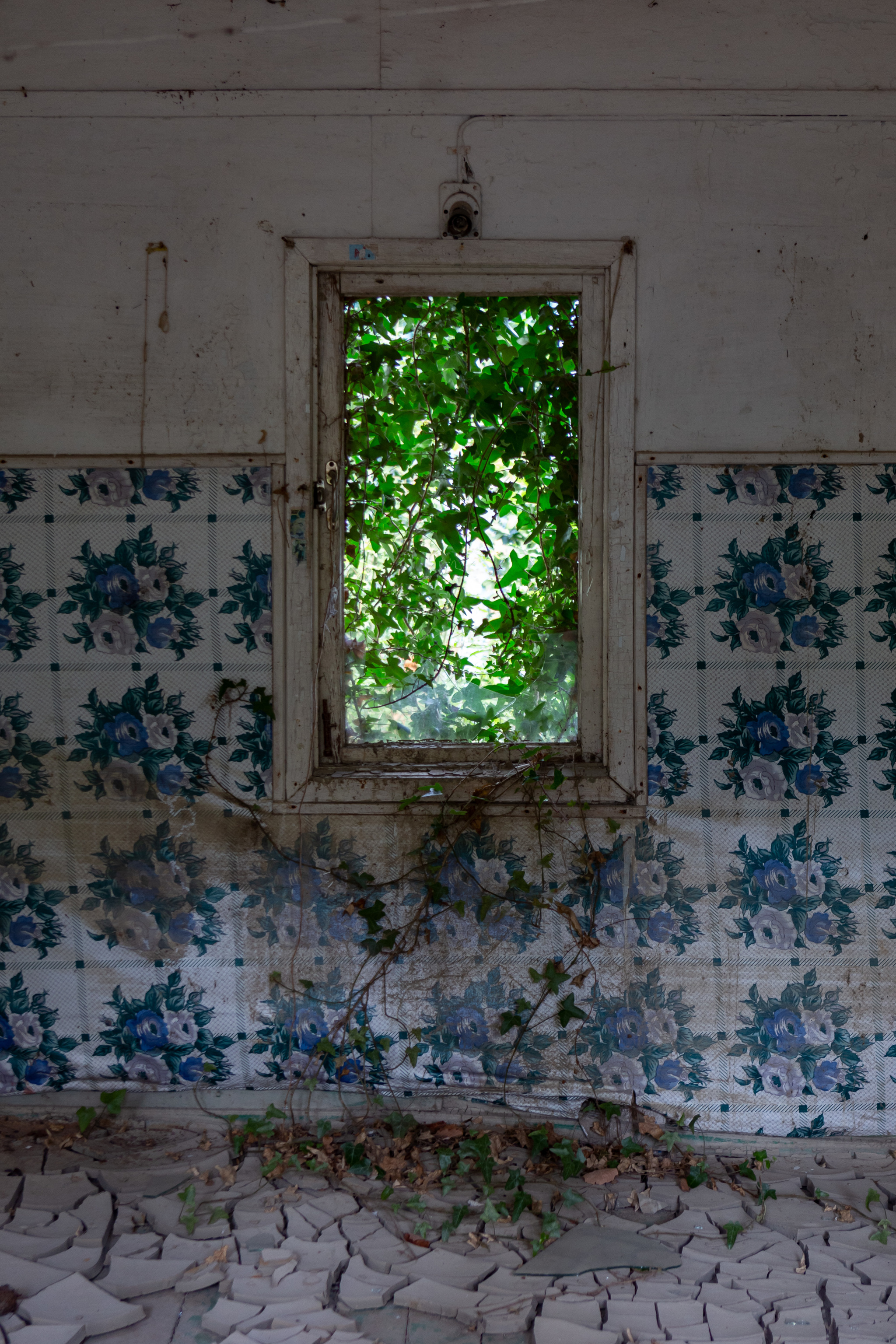 Photo session at an abandoned recreation center (water, clay, she cleaned the floors) - My, Recreation center, Abandoned, The photo, Photographer, Architecture, Longpost