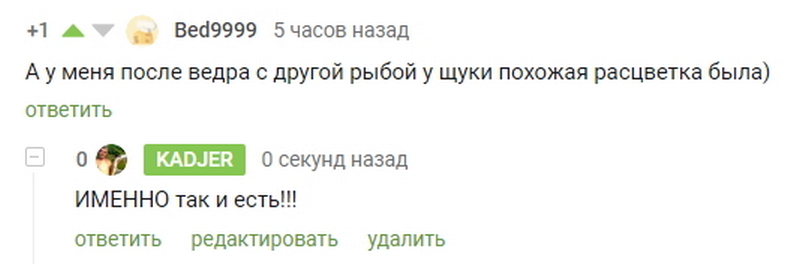 Продолжение поста «Загадка - непонятка...» - Моё, Рыбалка, Щука, Ответ на пост, Скриншот, Комментарии на Пикабу