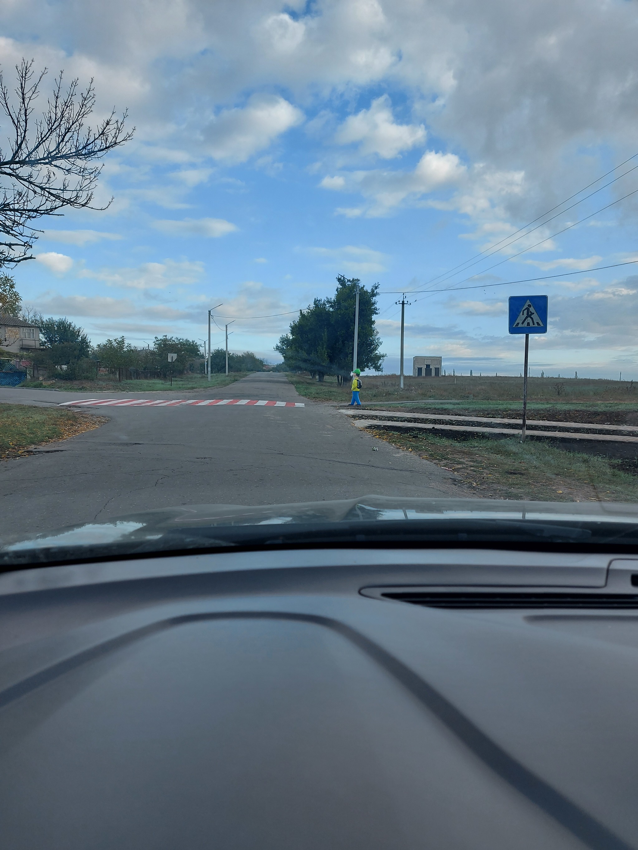 Dummy schoolboy - My, Road, Traffic rules, Dummy, A pedestrian, Crosswalk, Longpost