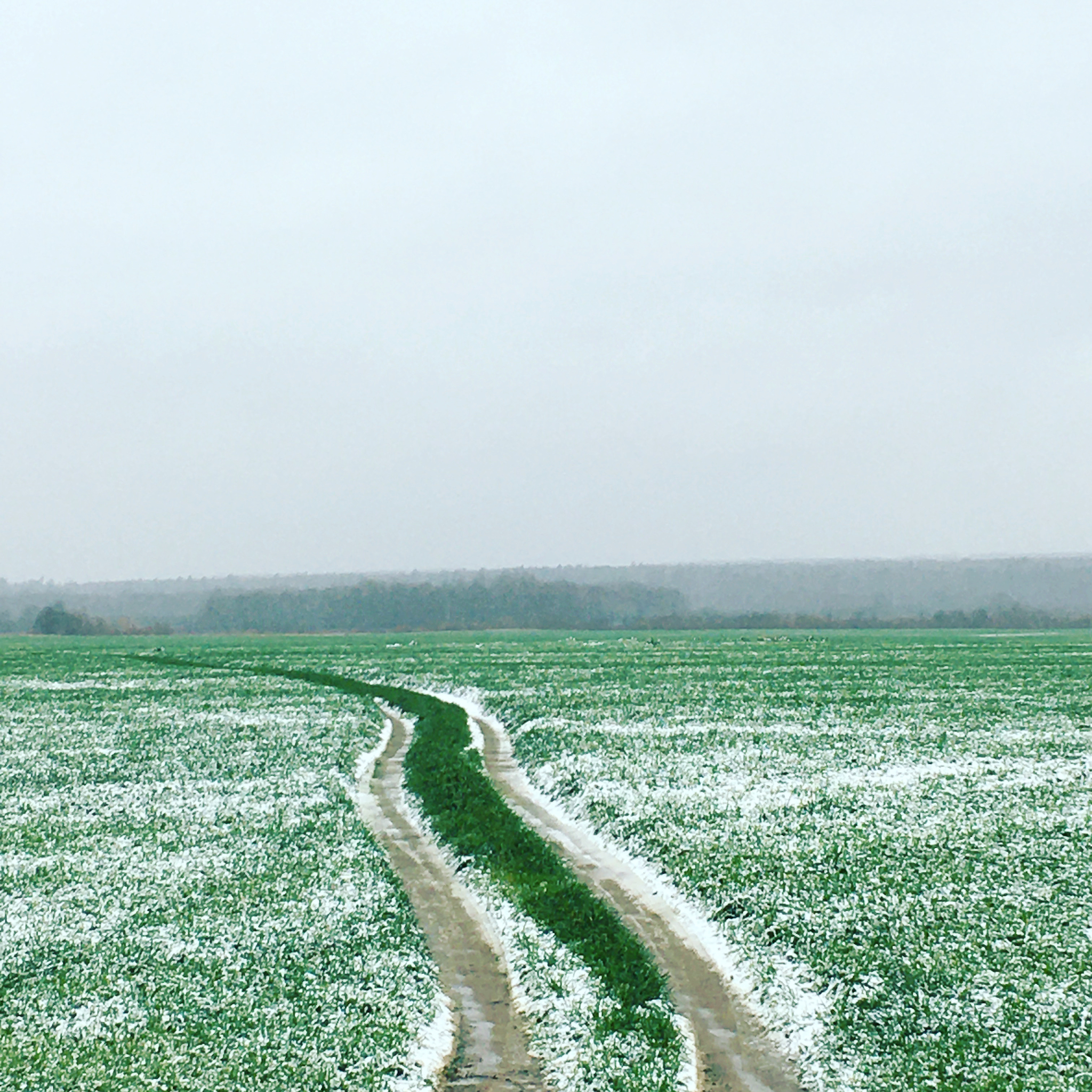 Road to summer - My, Snow, Road, Summer, The photo