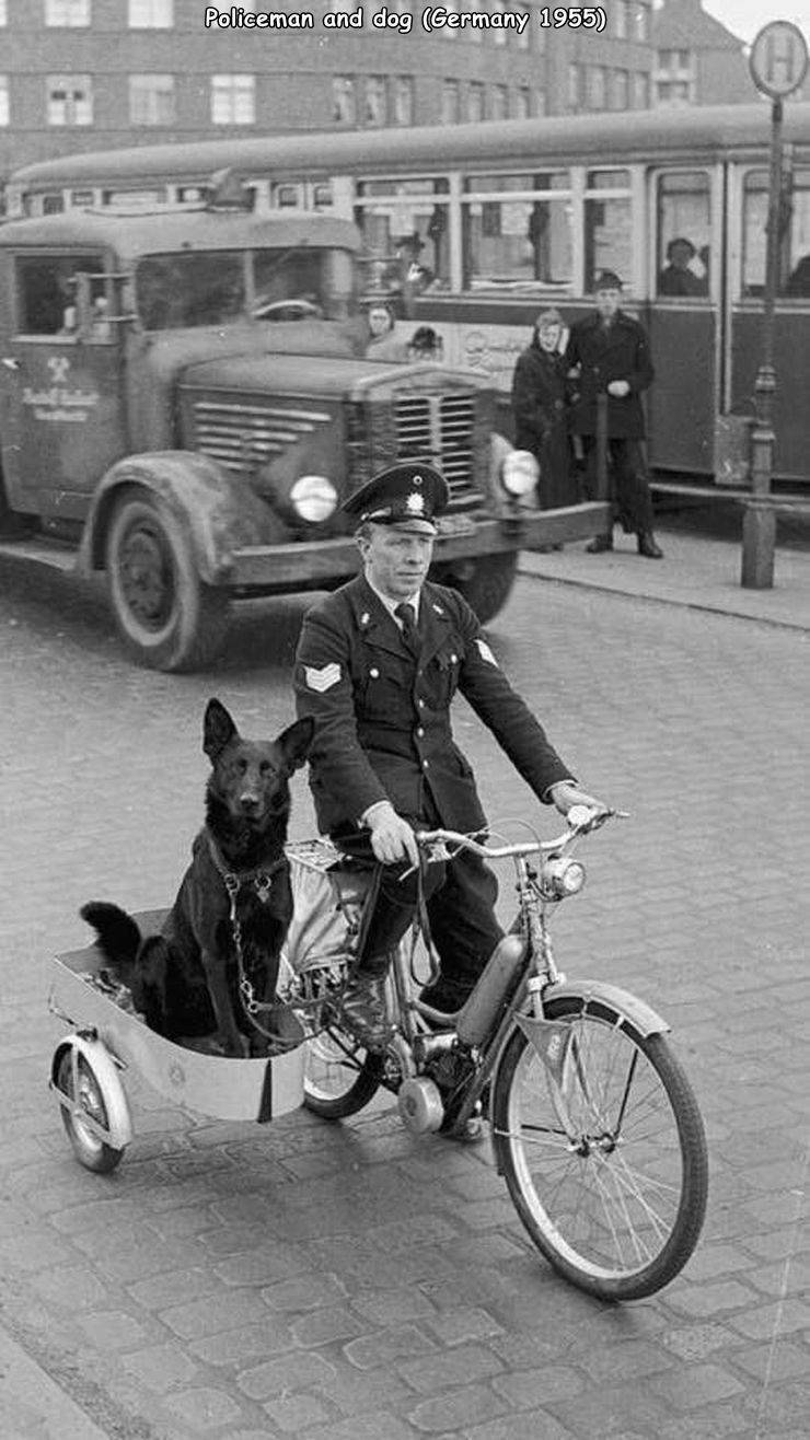 Policeman with a dog (Germany, 1955) - Police, Dog, A bike, Cart, Care, Retro, Germany, The photo, Black and white photo, 1955