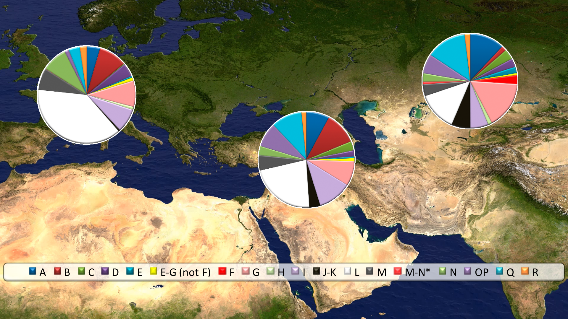 The origin of domestic horses in the Caucasus and Anatolia was clarified by DNA - My, The science, Domestication, Taming, Story, Genetics, Longpost, Anatolia, Horses, Zoology, Video