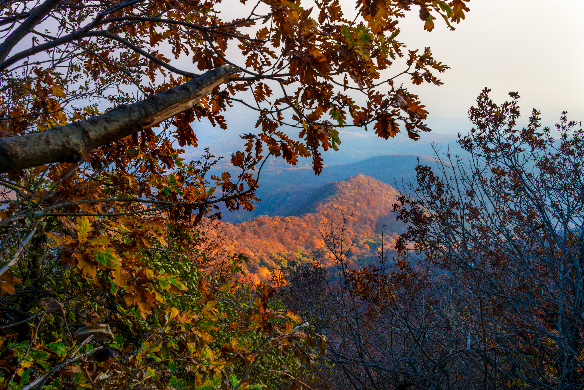 Golden autumn on Mount Beshtau - My, Autumn, Beshtau, October, Nature, Landscape, Longpost, The photo, Autumn leaves