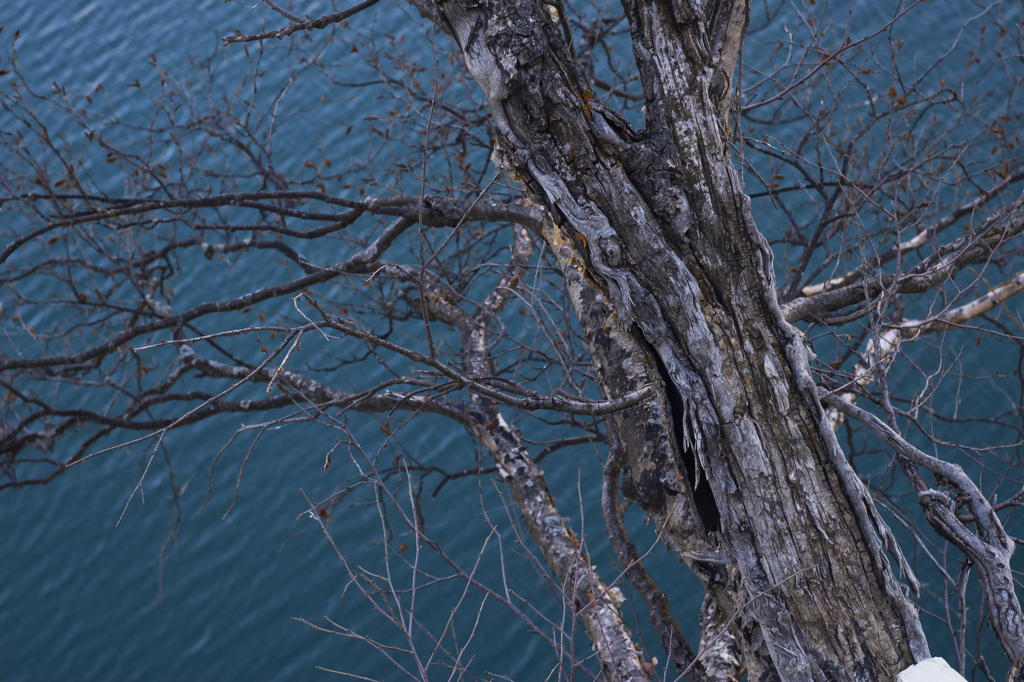 Lake Kezenoy Am. Autumn - My, Helios-44, Autumn, The photo, Longpost