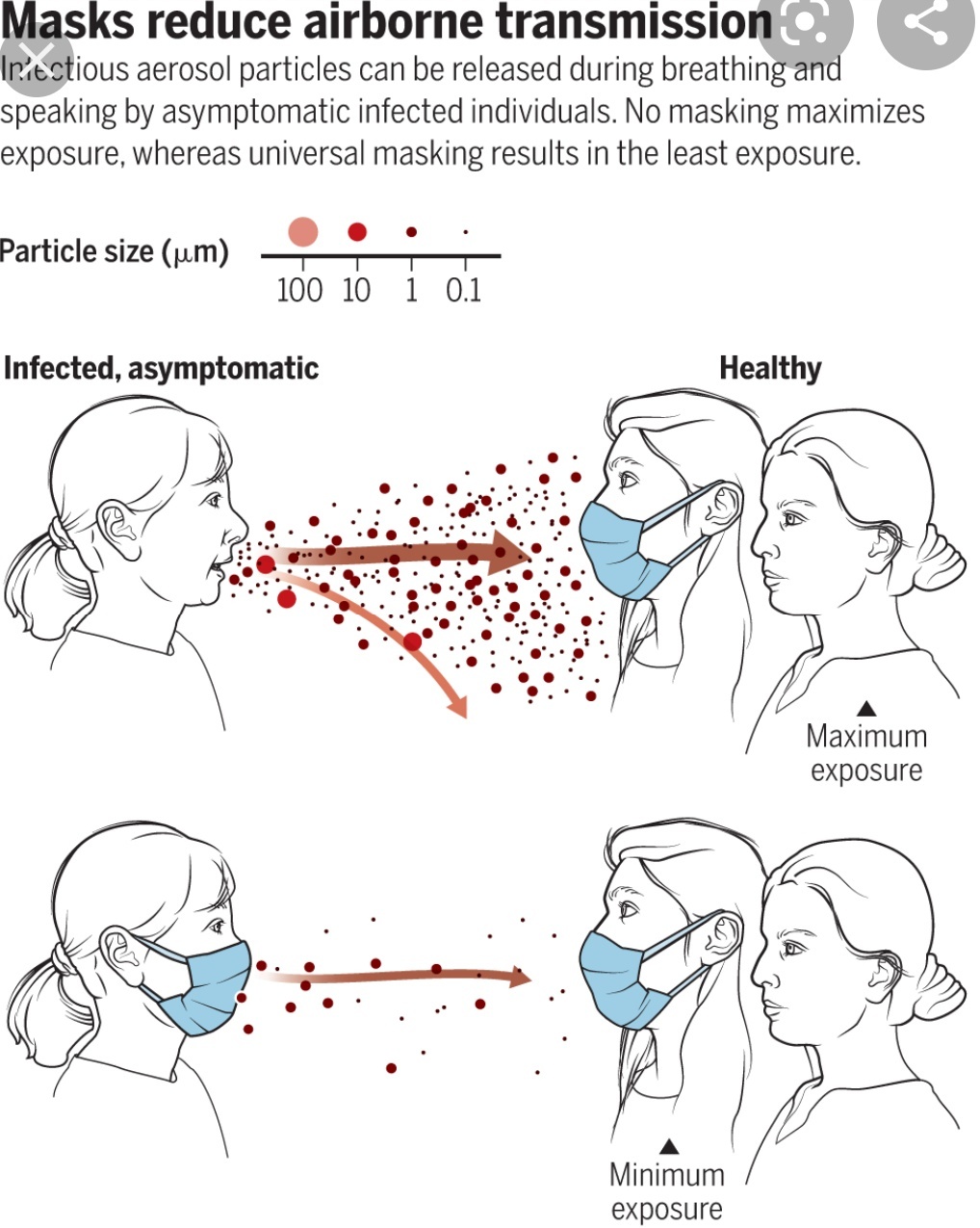 Covid infection: a million viral particles (with each exhalation) cannot be wrong! - Coronavirus, Disease, Video, Longpost