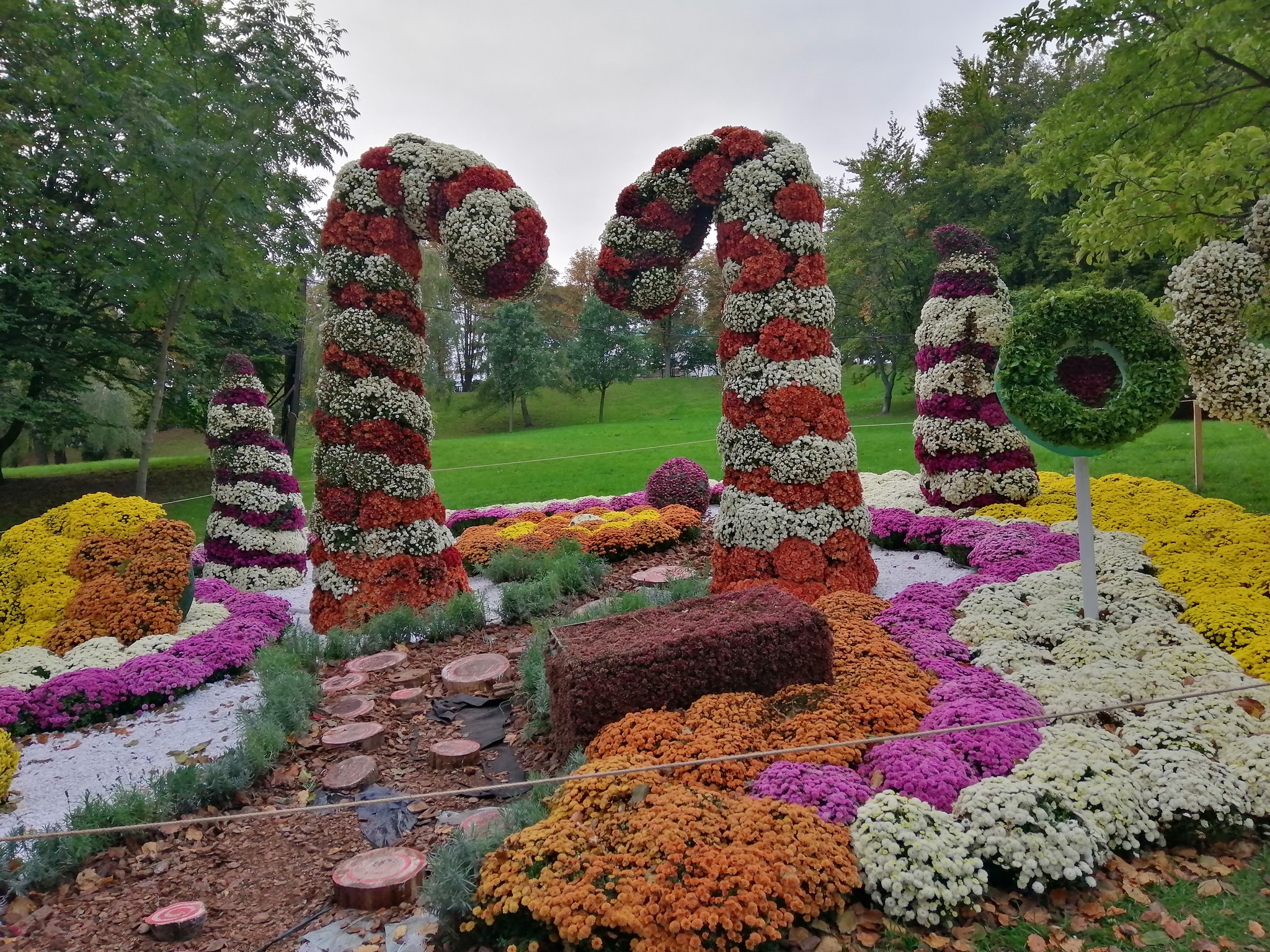 Chrysanthemum exhibition - My, Kiev, Flowers, Chrysanthemums, Autumn, Exhibition, Longpost