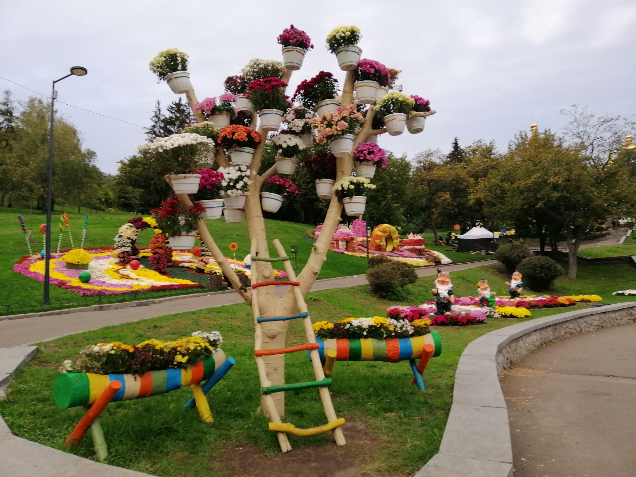 Chrysanthemum exhibition - My, Kiev, Flowers, Chrysanthemums, Autumn, Exhibition, Longpost