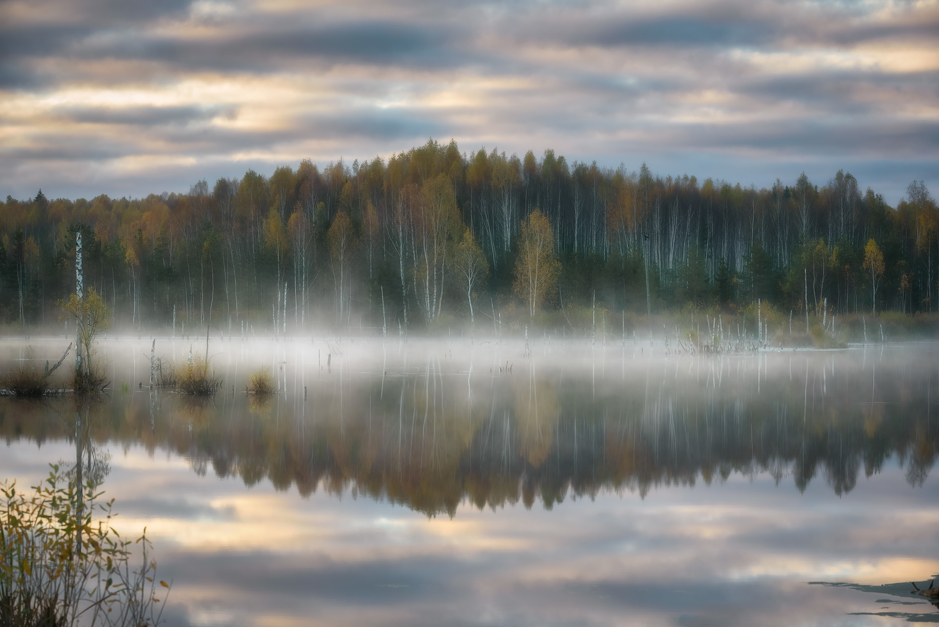 Dawn on your favorite swamp - The photo, Landscape, Fog, dawn, Swamp, Nikon D750, Longpost