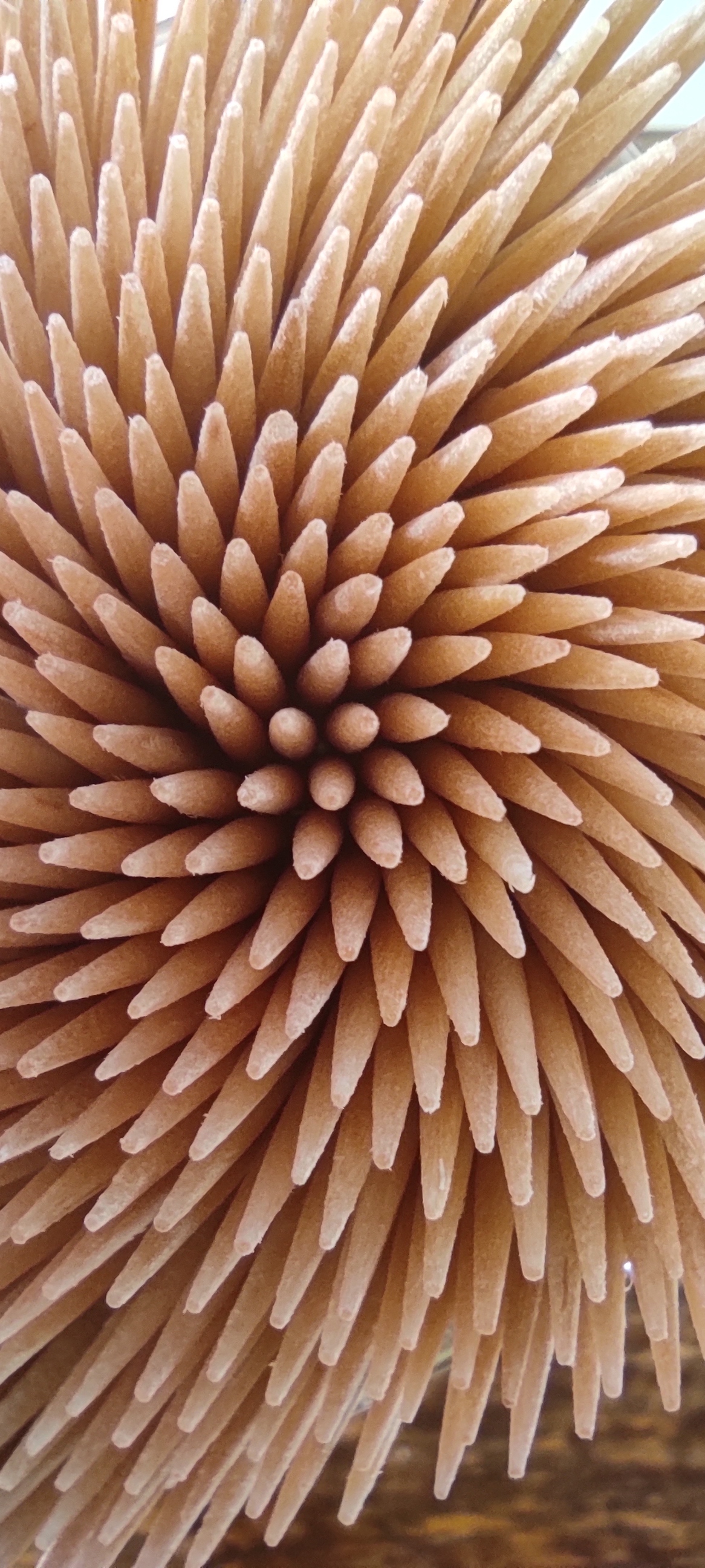 Just toothpicks - Mobile photography, Toothpicks, Macro photography, Redmi, Longpost