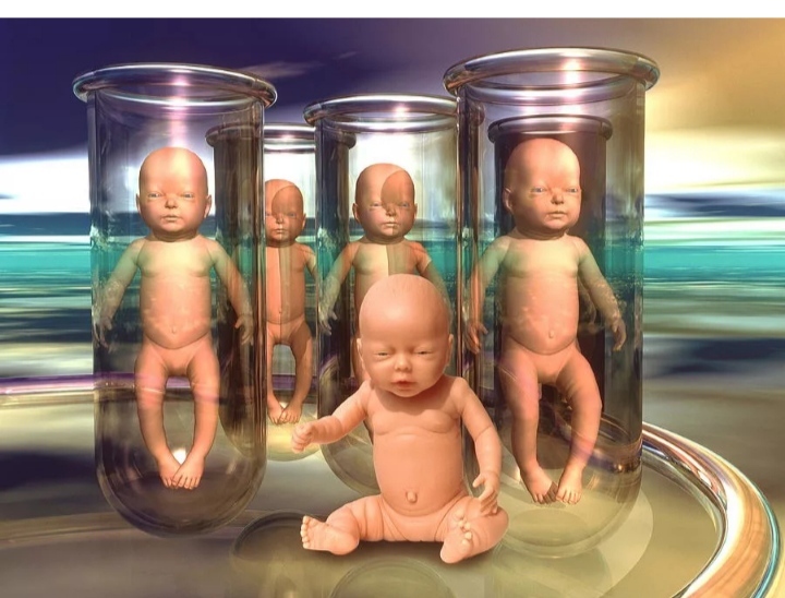 Парадокс клонирования: с чем столкнется человечество в случае успешного  клонирования людей | Пикабу